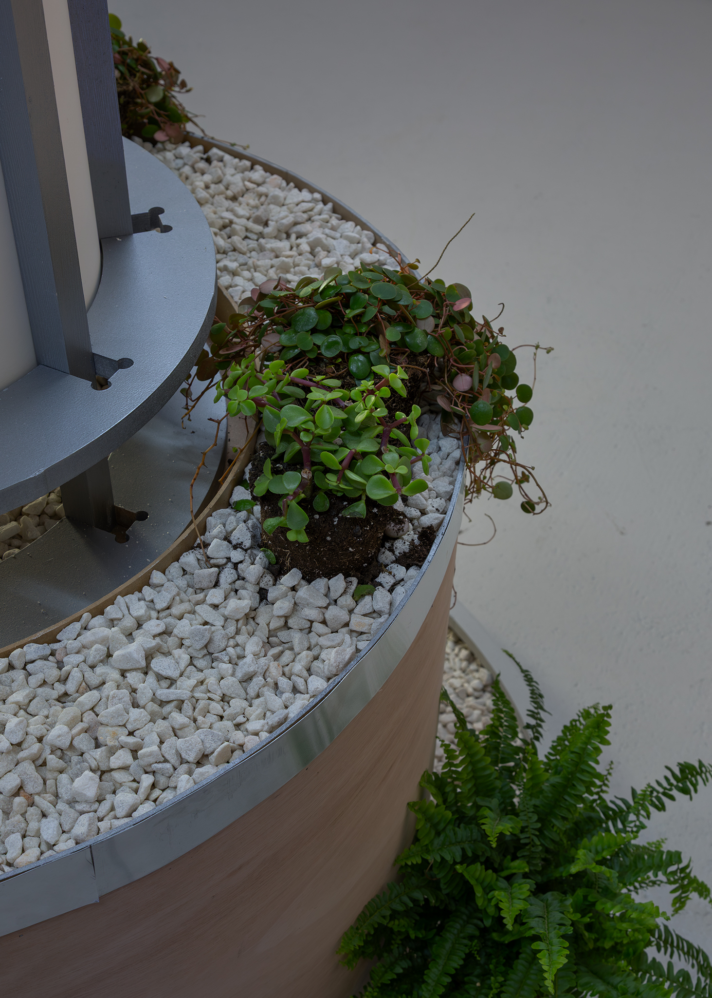 SYNERGYTM Prototype for Atmospheric Regeneration Column , 2026. Plywood, plants, moss, gravel, aluminium, Sound by Nick Rainey. Emma Papworth