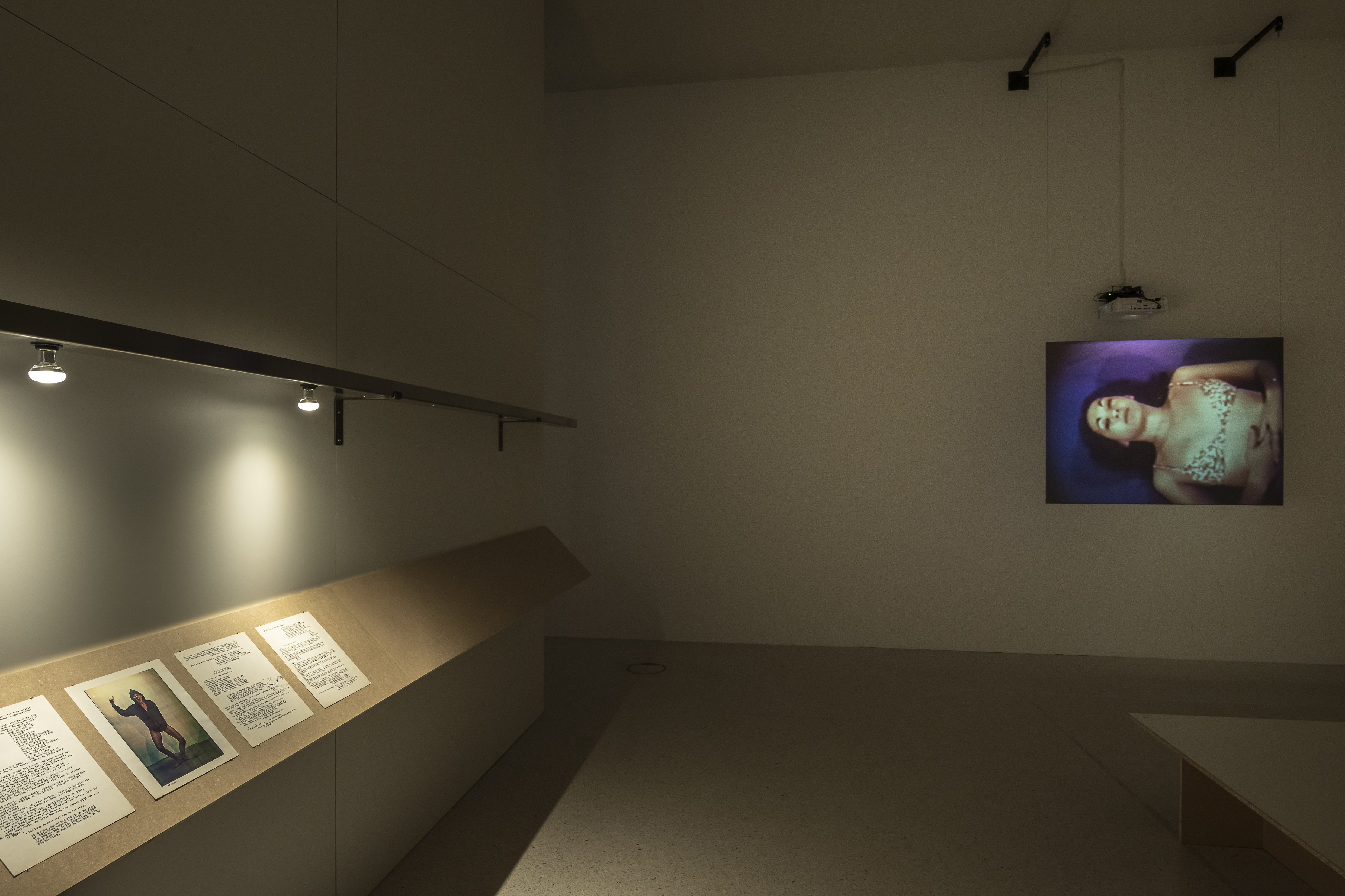 Julia Heyward, Voices of Many Voices, 2026, Installation view, Westfälischer Kunstverein, Photo: Thorsten Arendt