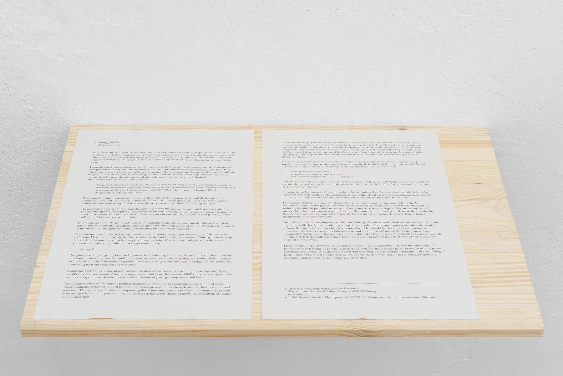 Hava Erica Zeytin, counting follicles, 2026