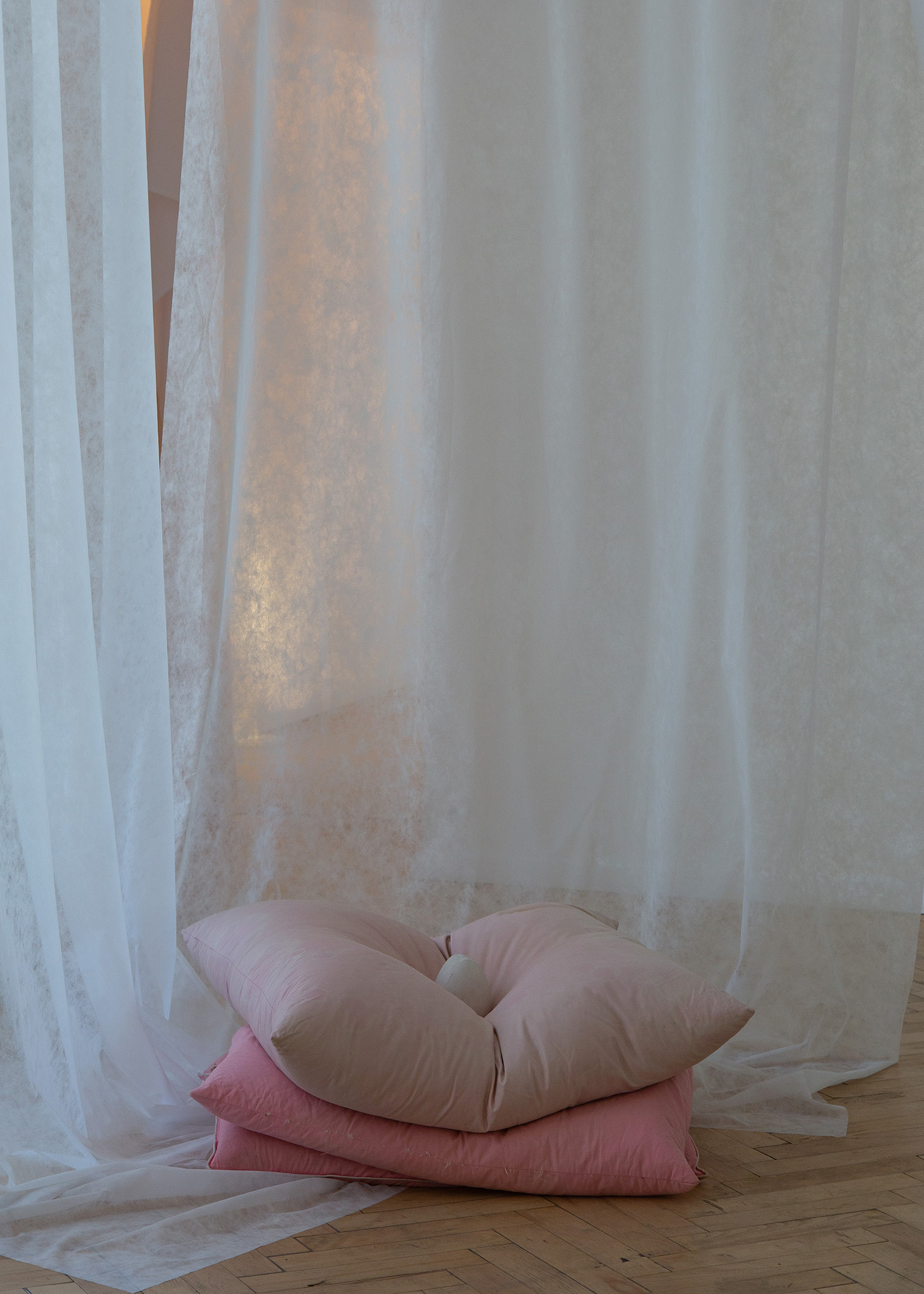 Trin Alt, Untitled, 2025