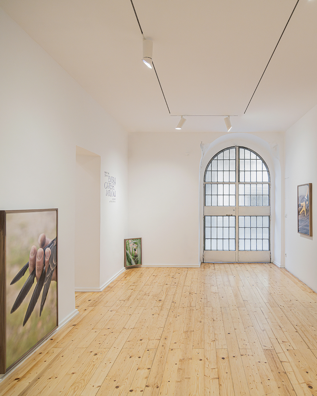 Installation view EVERY CARESS, A BLOW, Martina Zanin, Fondazione Pastificio Cerere 2026. Courtesy Fondazione Pastificio Cerere. Credits: Carlo Romano.