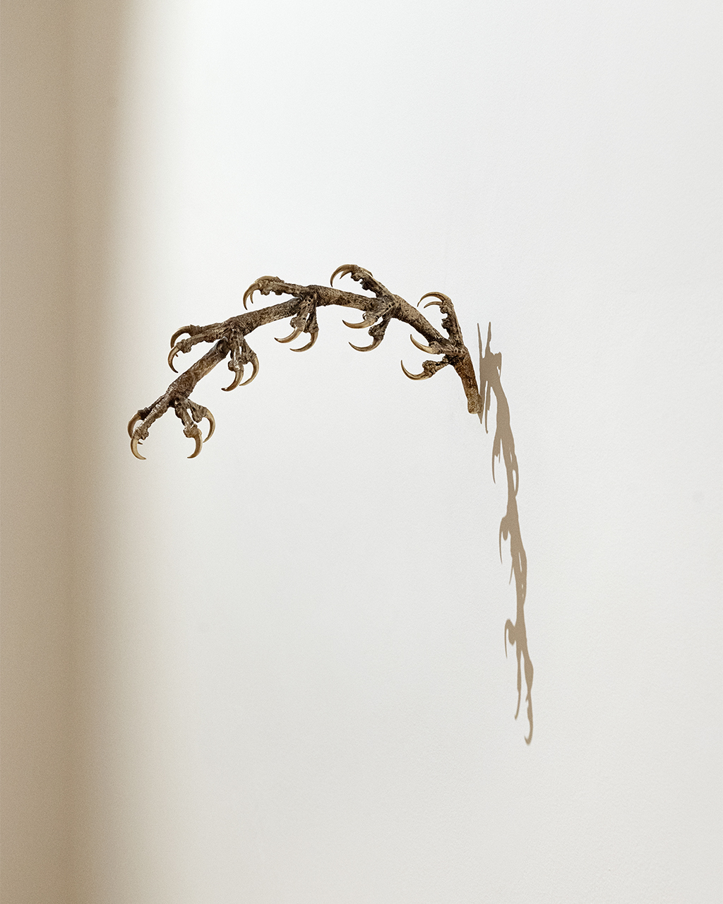 Martina Zanin, A PREDATOR, IS A PREDATOR, IS A PREDATOR…, 2026. Courtesy the Artist and Nashira Gallery. Installation view EVERY CARESS, A BLOW, Fondazione Pastificio Cerere 2026. Courtesy Fondazione Pastificio Cerere.