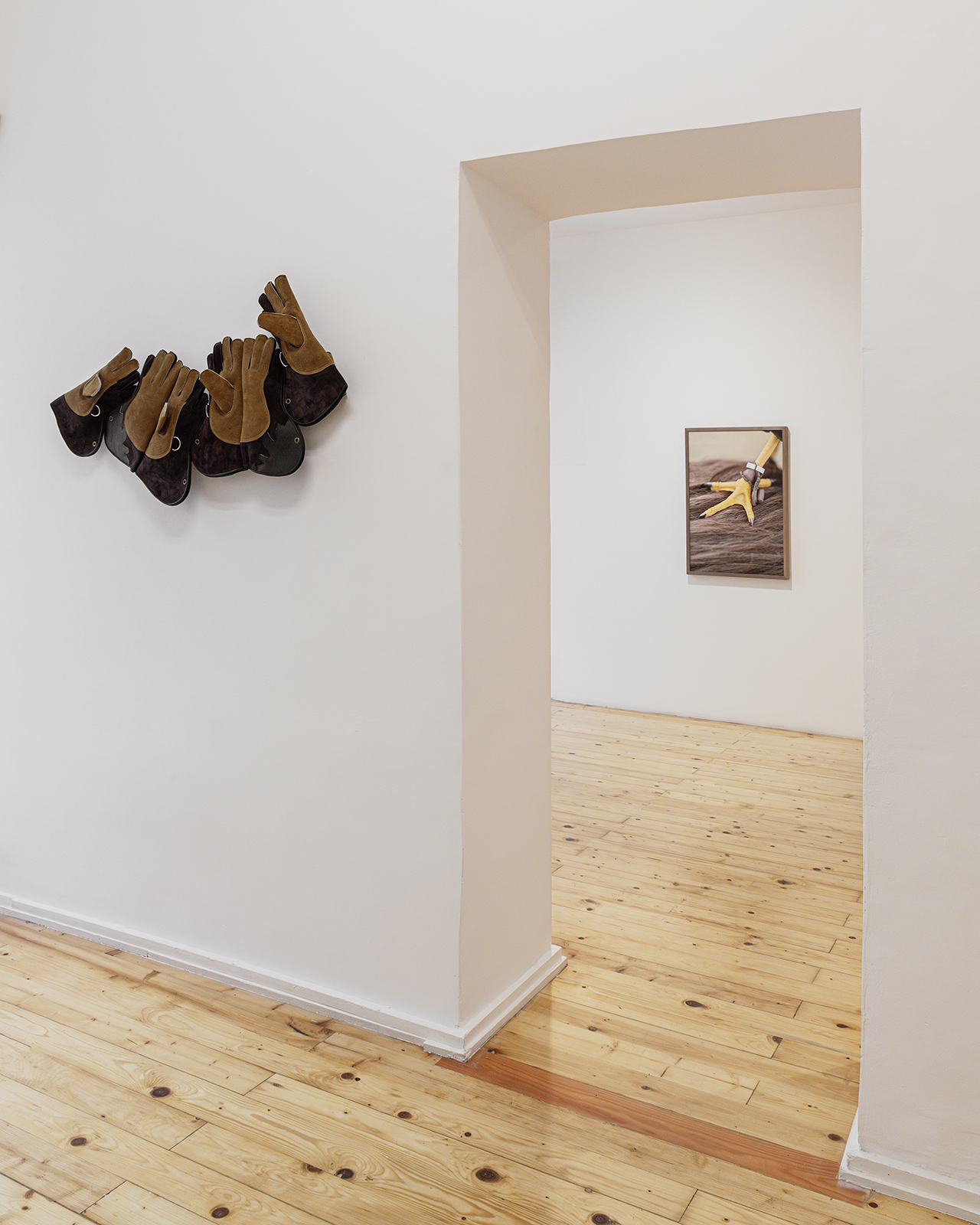 Installation view EVERY CARESS, A BLOW, Martina Zanin, Fondazione Pastificio Cerere 2026. Courtesy Fondazione Pastificio Cerere. Credits: Carlo Romano.