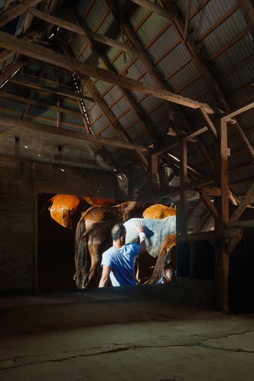 Yalda Afsah Surge Kunsthal Thy 2026 photo Jacob Friis Holm Nielsen JFH6210 s RGB web