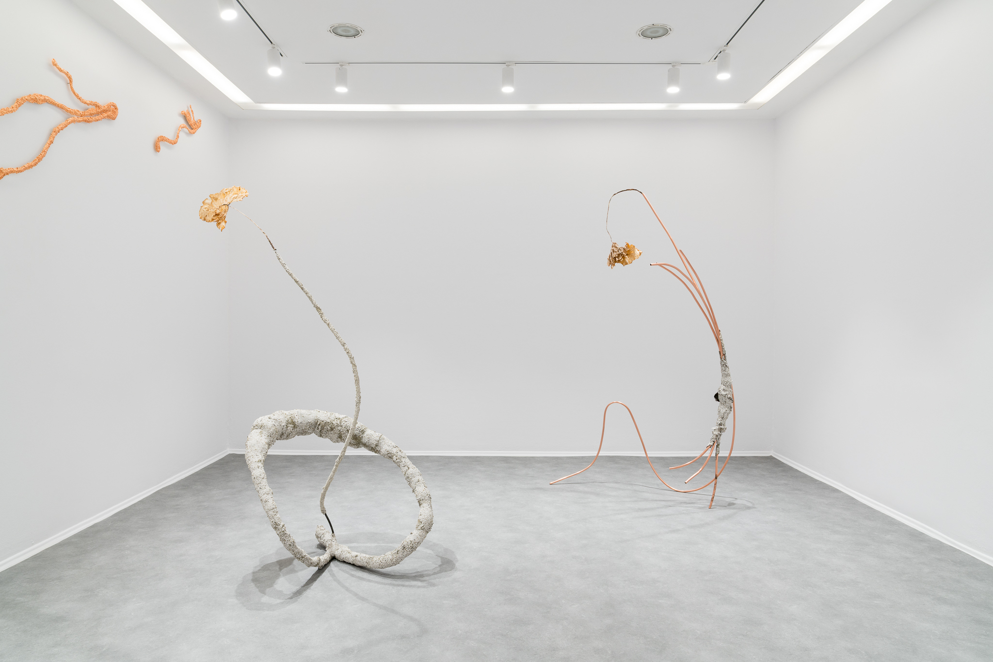 Not Only Flowers Will Grow, exhibition view, 2026, Foksal Gallery, Warsaw