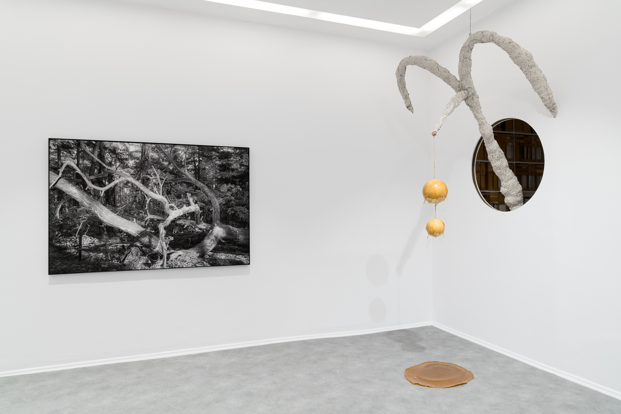 Not Only Flowers Will Grow, exhibition view, 2026, Foksal Gallery, Warsaw