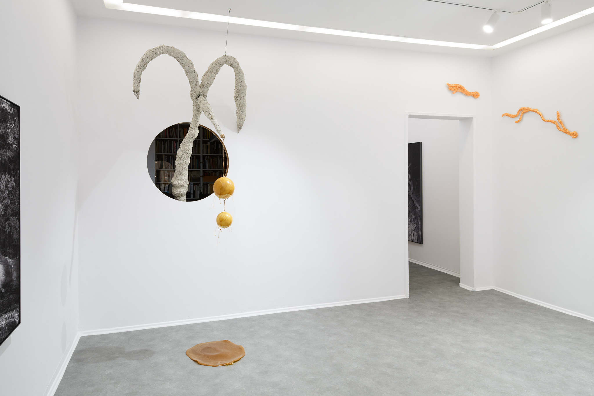 Not Only Flowers Will Grow, exhibition view, 2026, Foksal Gallery, Warsaw