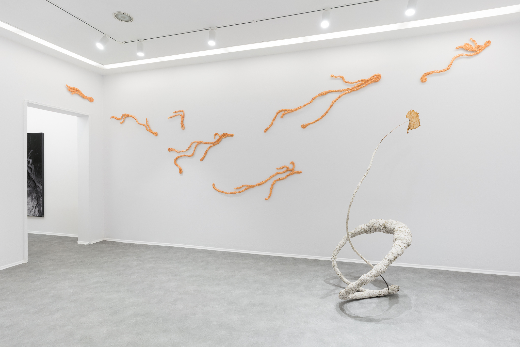 Not Only Flowers Will Grow, exhibition view, 2026, Foksal Gallery, Warsaw