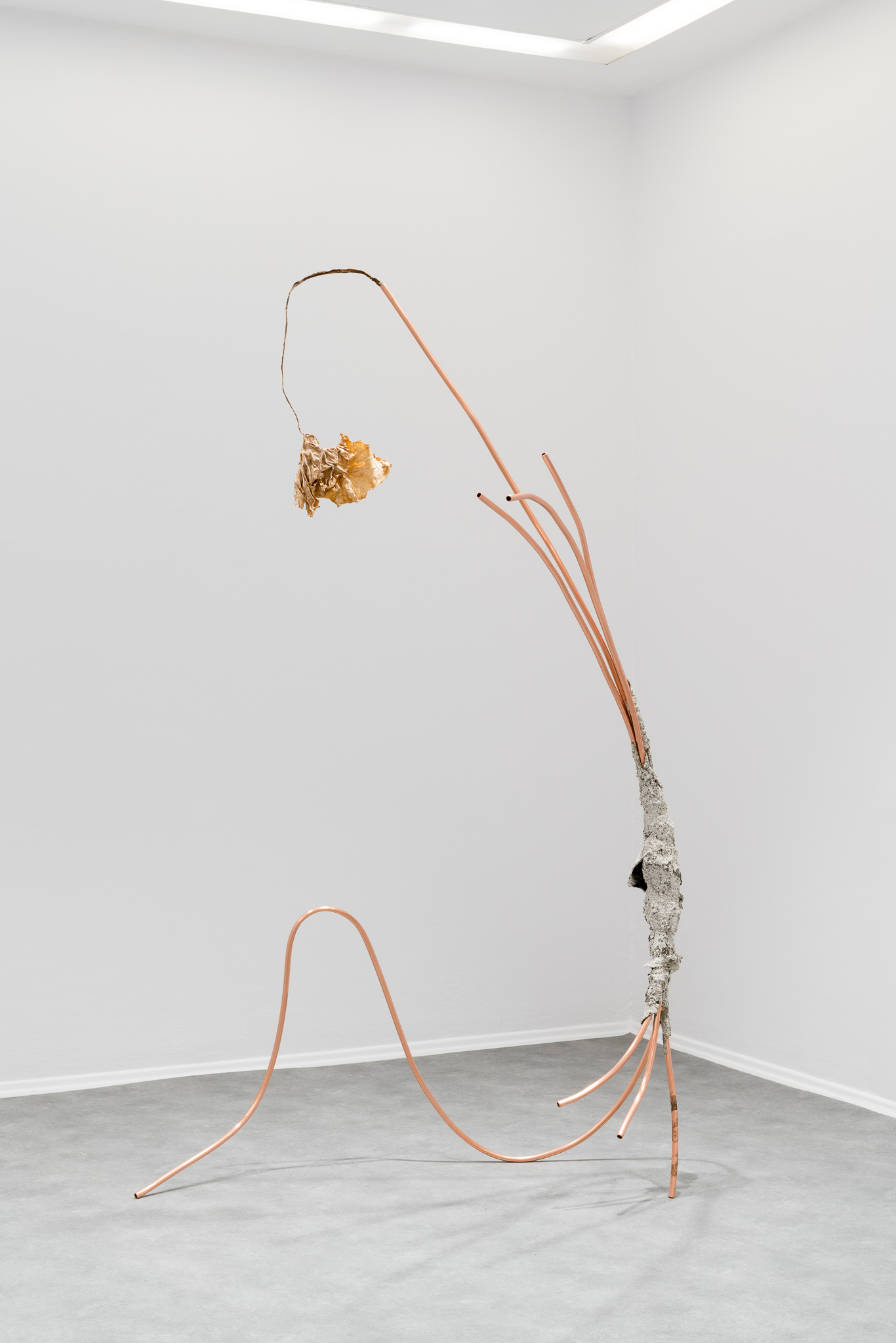 Kasper Lecnim, Irmina Rusicka, 'Not Only Flowers Will Grow', alocasia leaf, copper, rubble, cotton, glutin glue, 225 x 138 x 60 cm