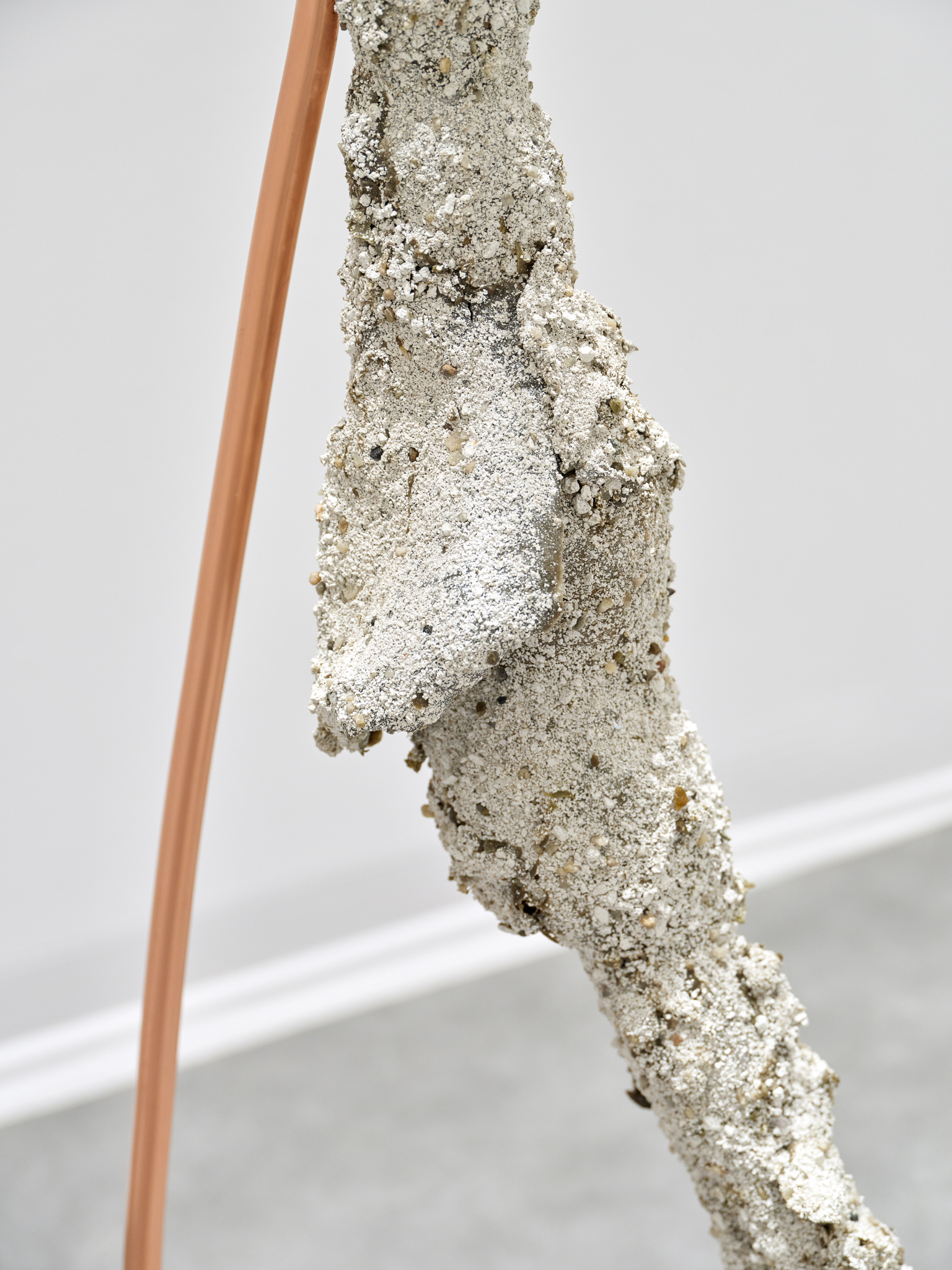 Kasper Lecnim, Irmina Rusicka, 'Not Only Flowers Will Grow', alocasia leaf, copper, rubble, cotton, glutin glue, 225 x 138 x 60 cm