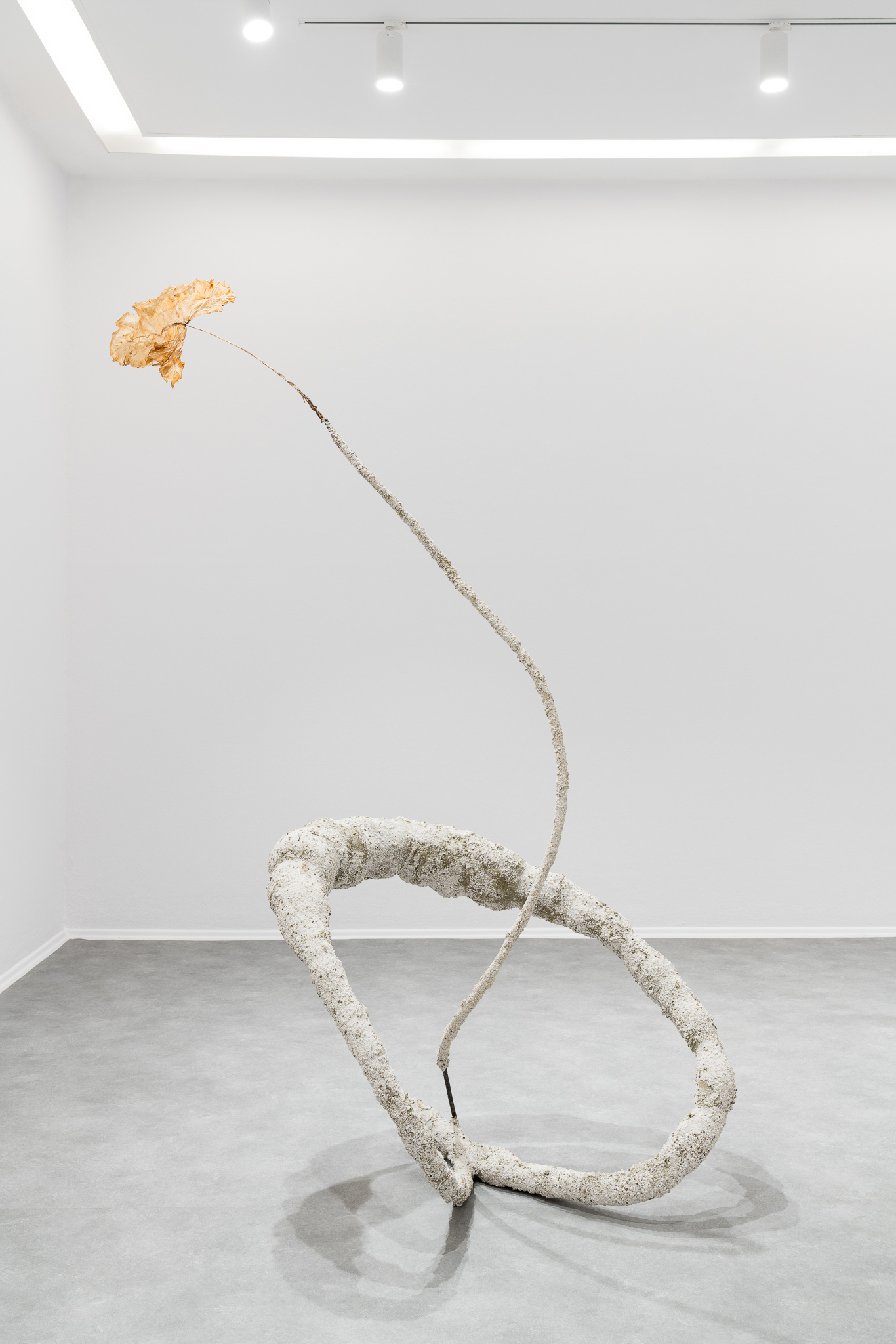 Kasper Lecnim, Irmina Rusicka, from the series 'Talking with a Taxman About Poetry', 2026, alocasia leaf, rubble, reinforcing bar, Alupex, cotton, glutin glue, 215 x 140 x 95 cm