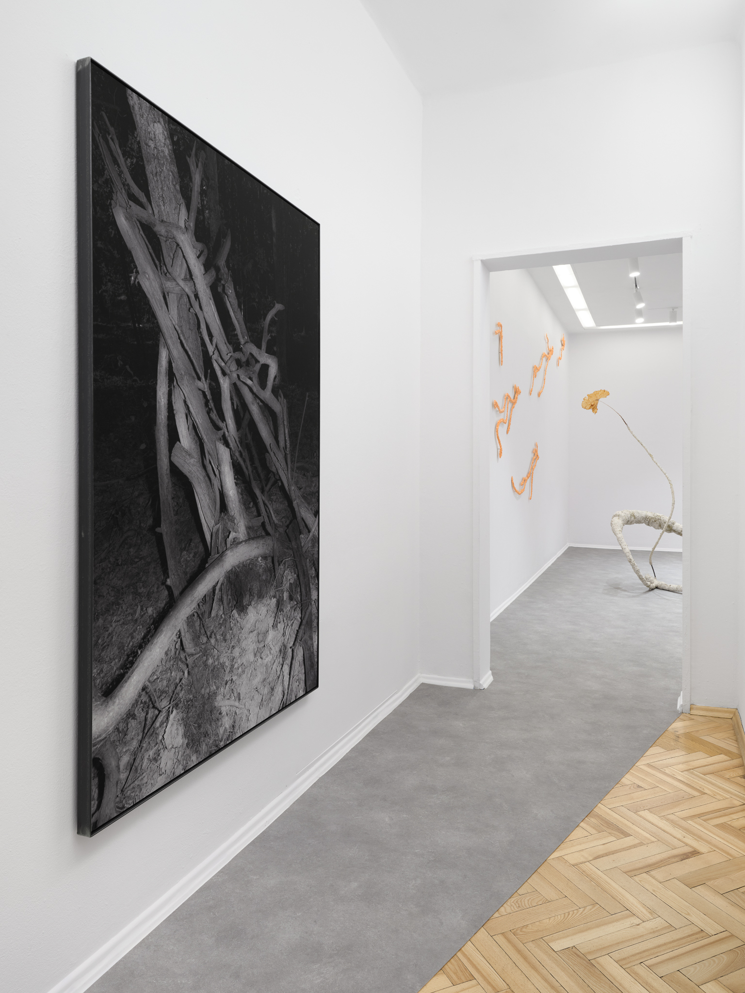Not Only Flowers Will Grow, exhibition view, 2026, Foksal Gallery, Warsaw