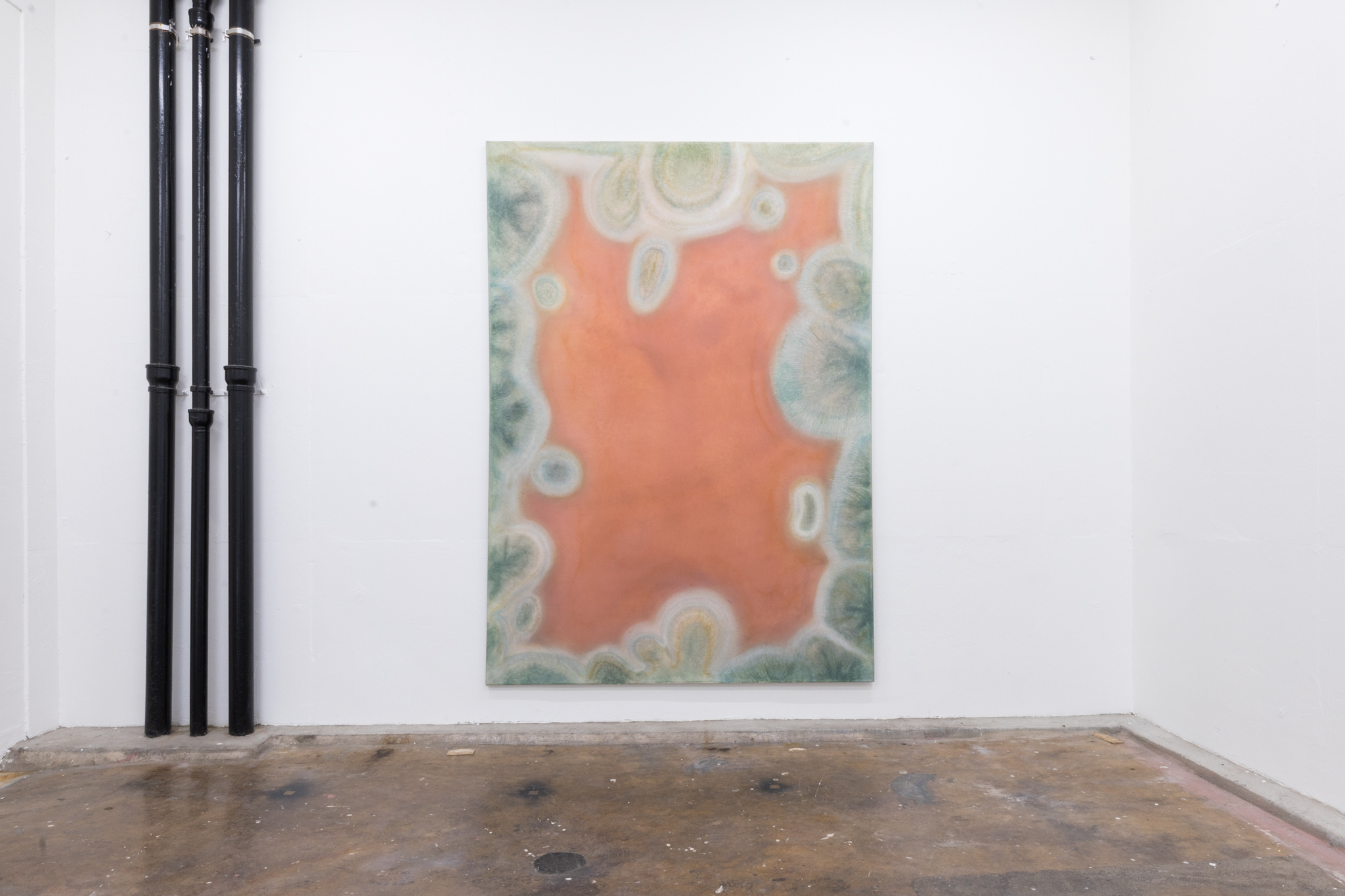  Alma Heikkilä: subsumed, 2025, pigments and inks, rice glue and acrylic polymer on polyester, 200 x 290 cm