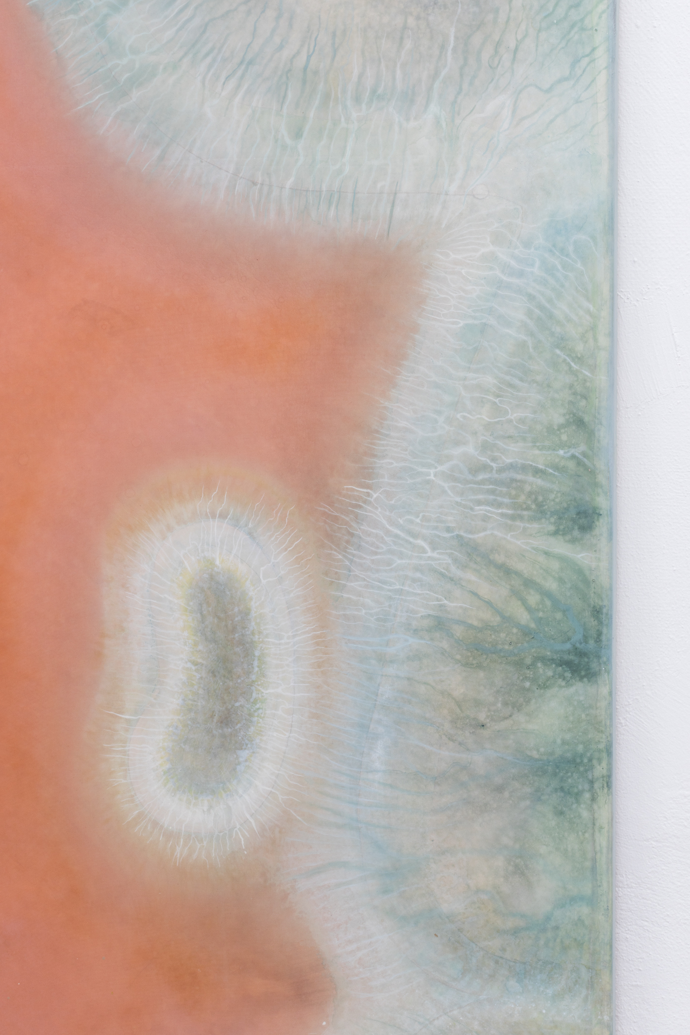  Alma Heikkilä: subsumed, 2025, pigments and inks, rice glue and acrylic polymer on polyester, 200 x 290 cm