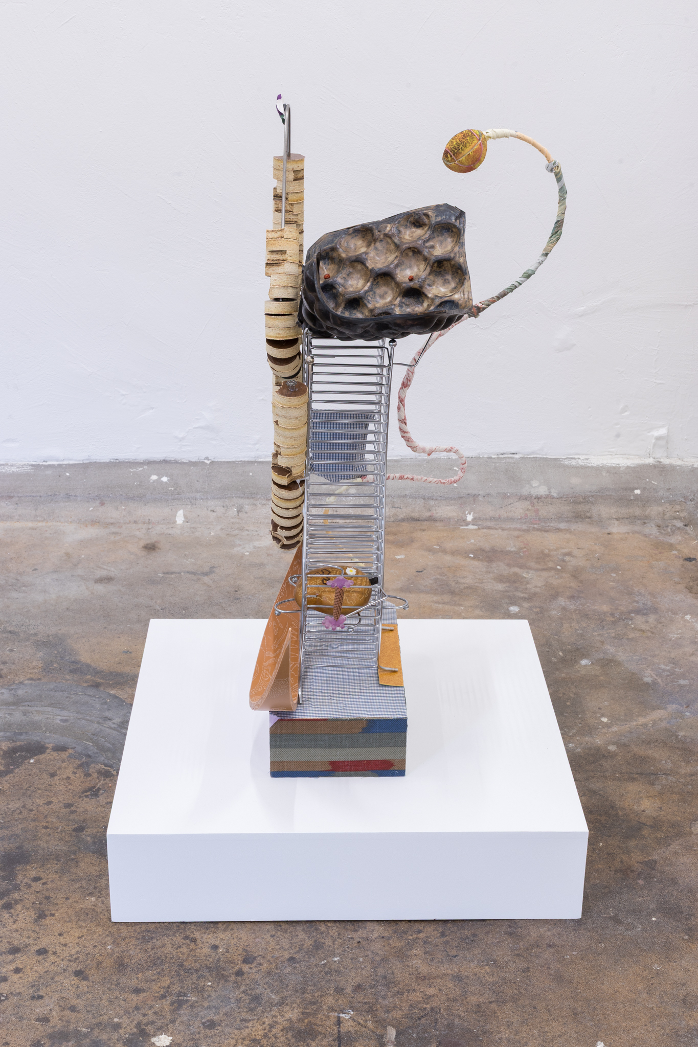 dylan ray arnold: Anabolic spell, 2026, glazed stoneware, rowan berries, cd-tower, chipboard, steel rods, shirt-pocket, wooden box & mango, flower & toy-hands, tennis-ball, linoleum, fridge-magnet, steel-trivet, plastic tube sickle, 96 x 47 x 65cm
