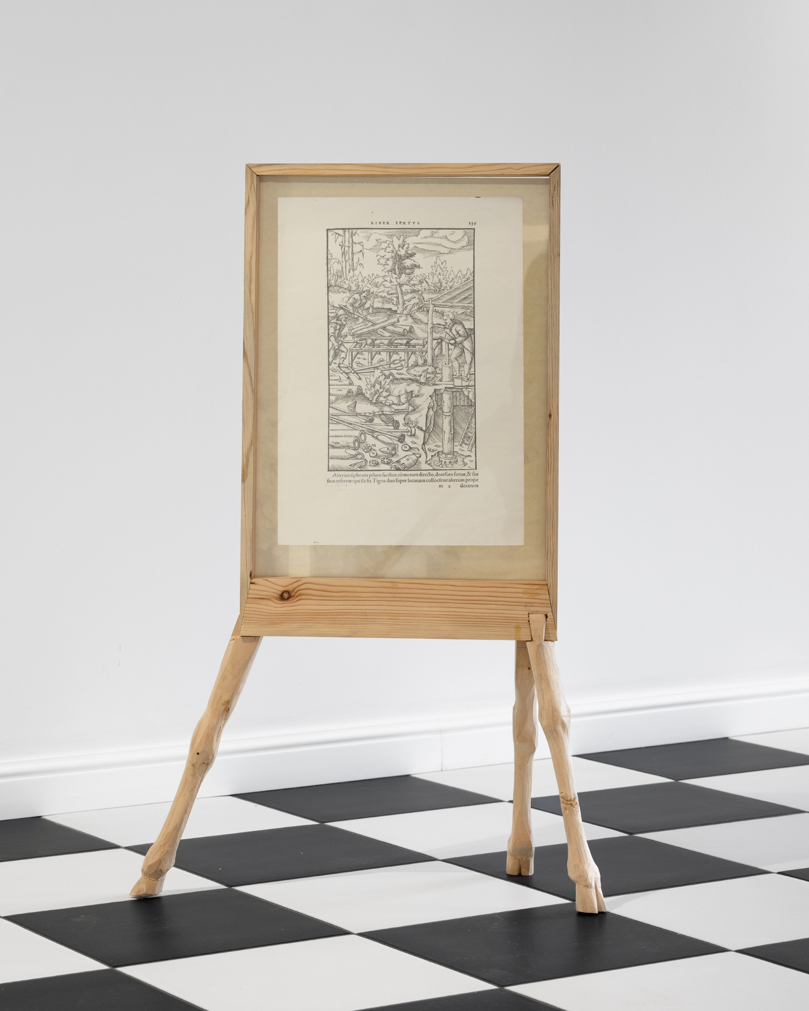 Anna Siekierska, „In sheep clothing”, 2025, wood, photography 26 x 30 cm, pencil drawing on paper, print, glass, 80 x 60 x 40 cm