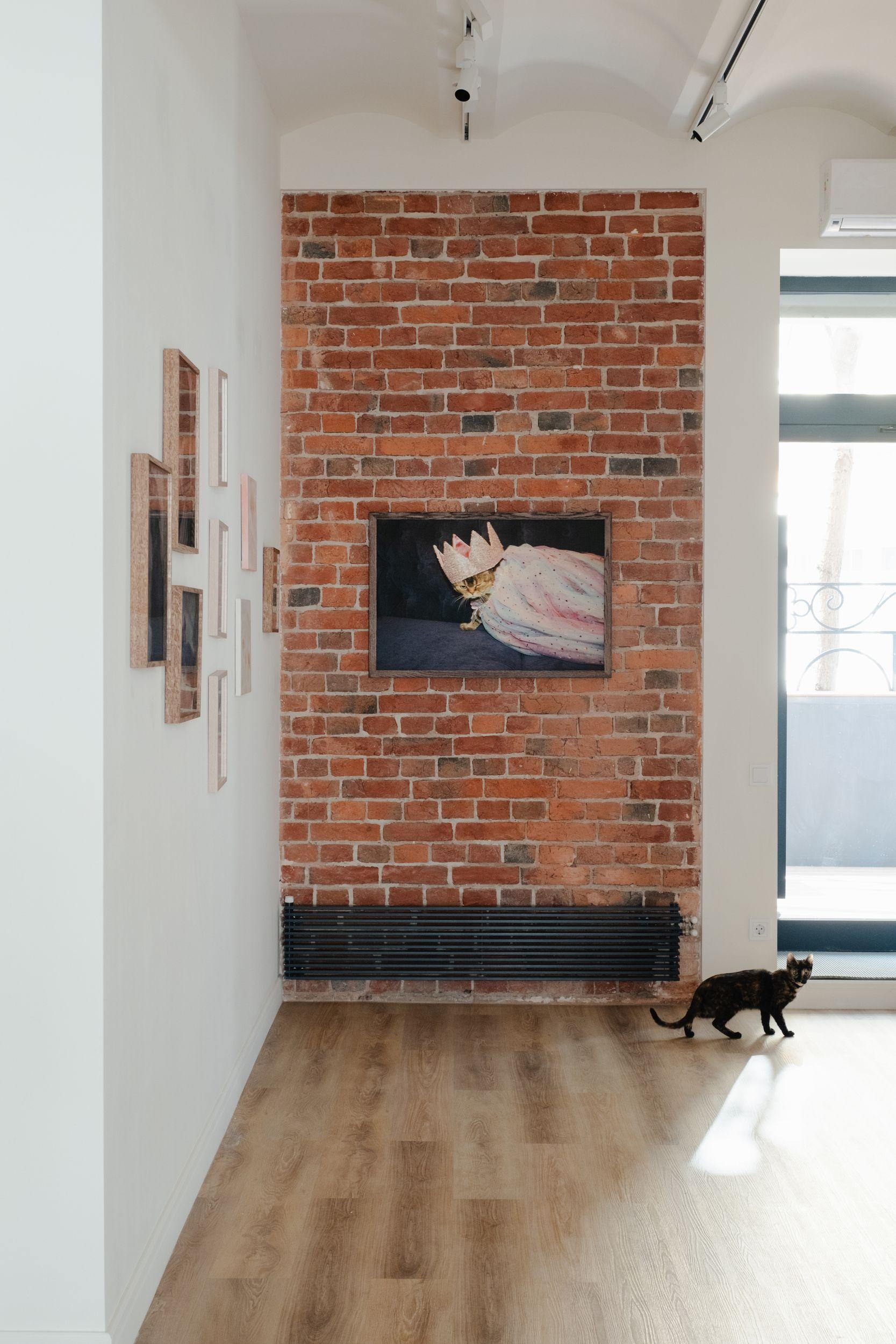 Cat show. Photo by Evgeniya Baranova 
