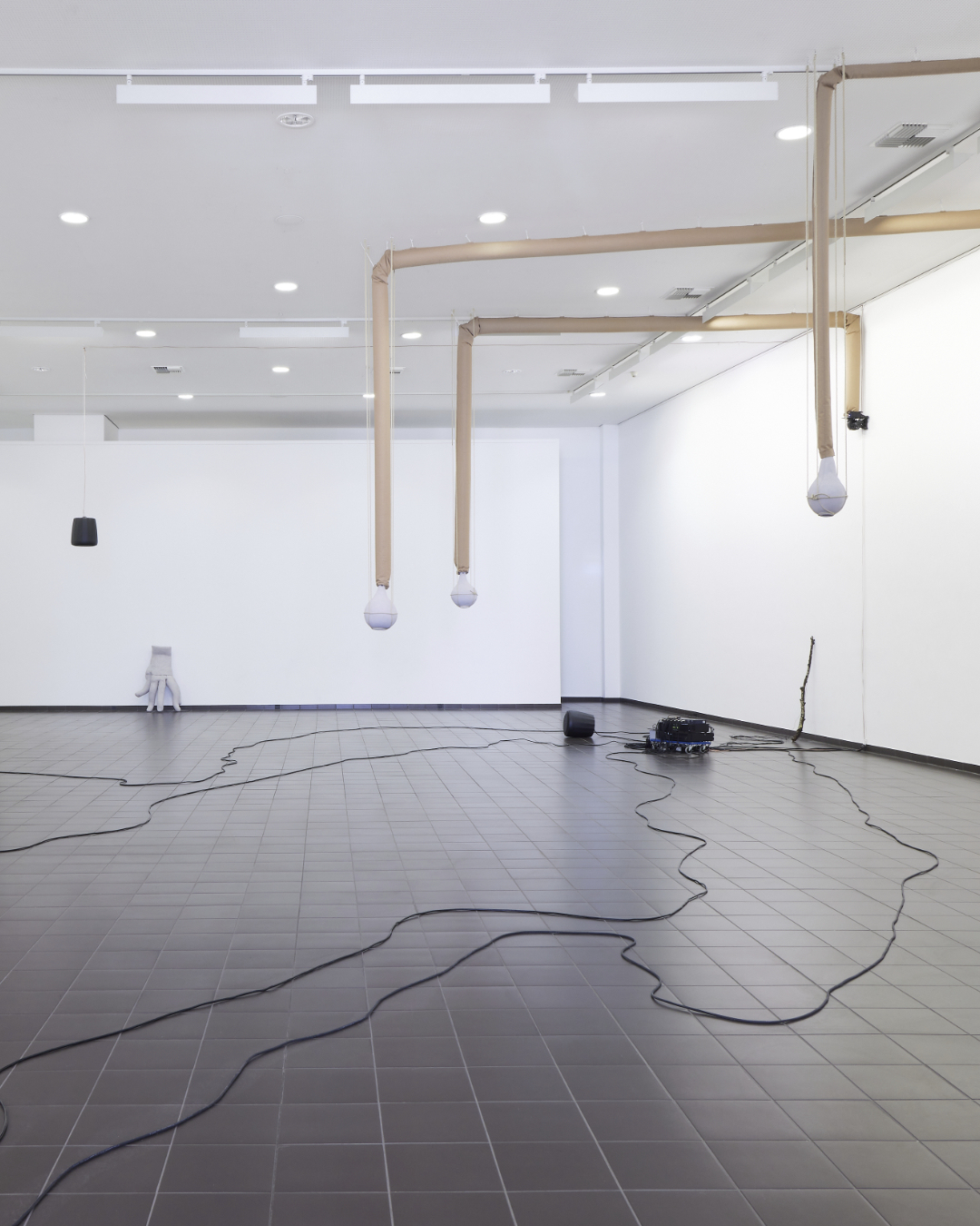 “Poisonous Potentials” (2025), installation with a sound piece