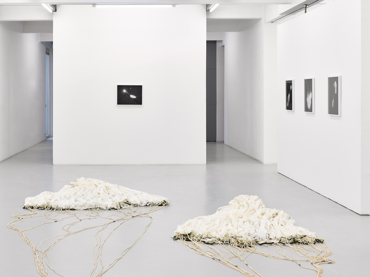 Photo © Galerie Elisabeth & Klaus Thoman / WEST.Fotostudio