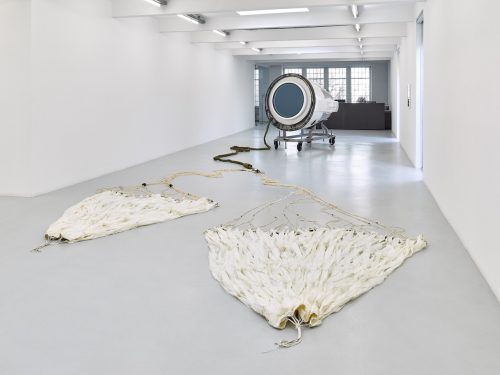 Mona Schulzek Birds sing at a higher pitch 43