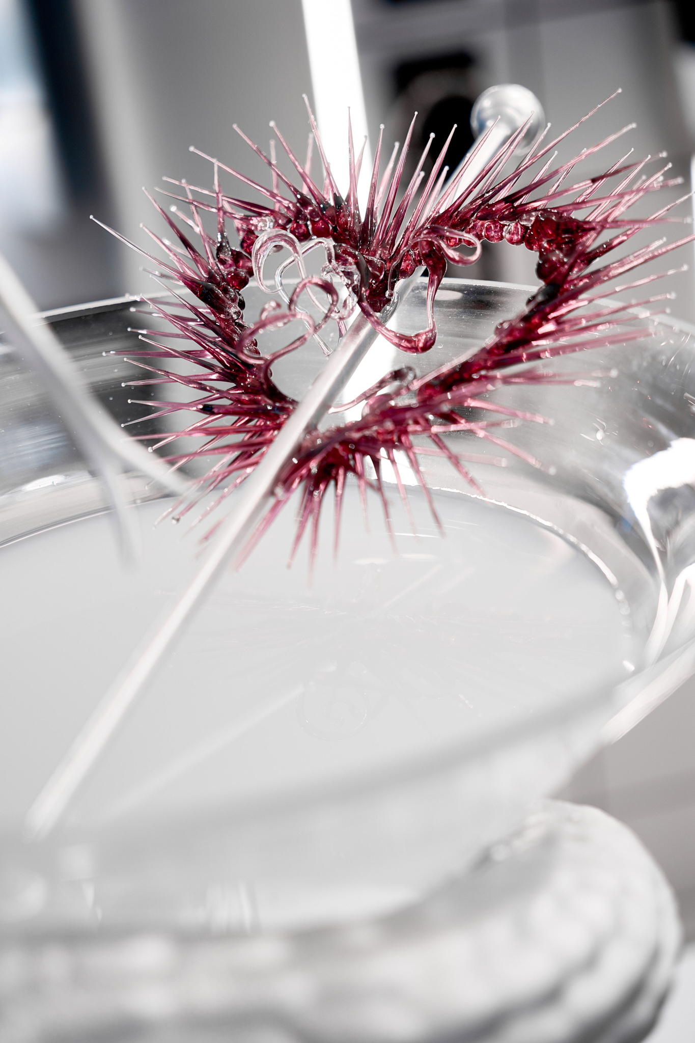 Daria Arbuzova, Pharmakon, 2026, 3D printing, photopolymer resin, glass, isotonic.
