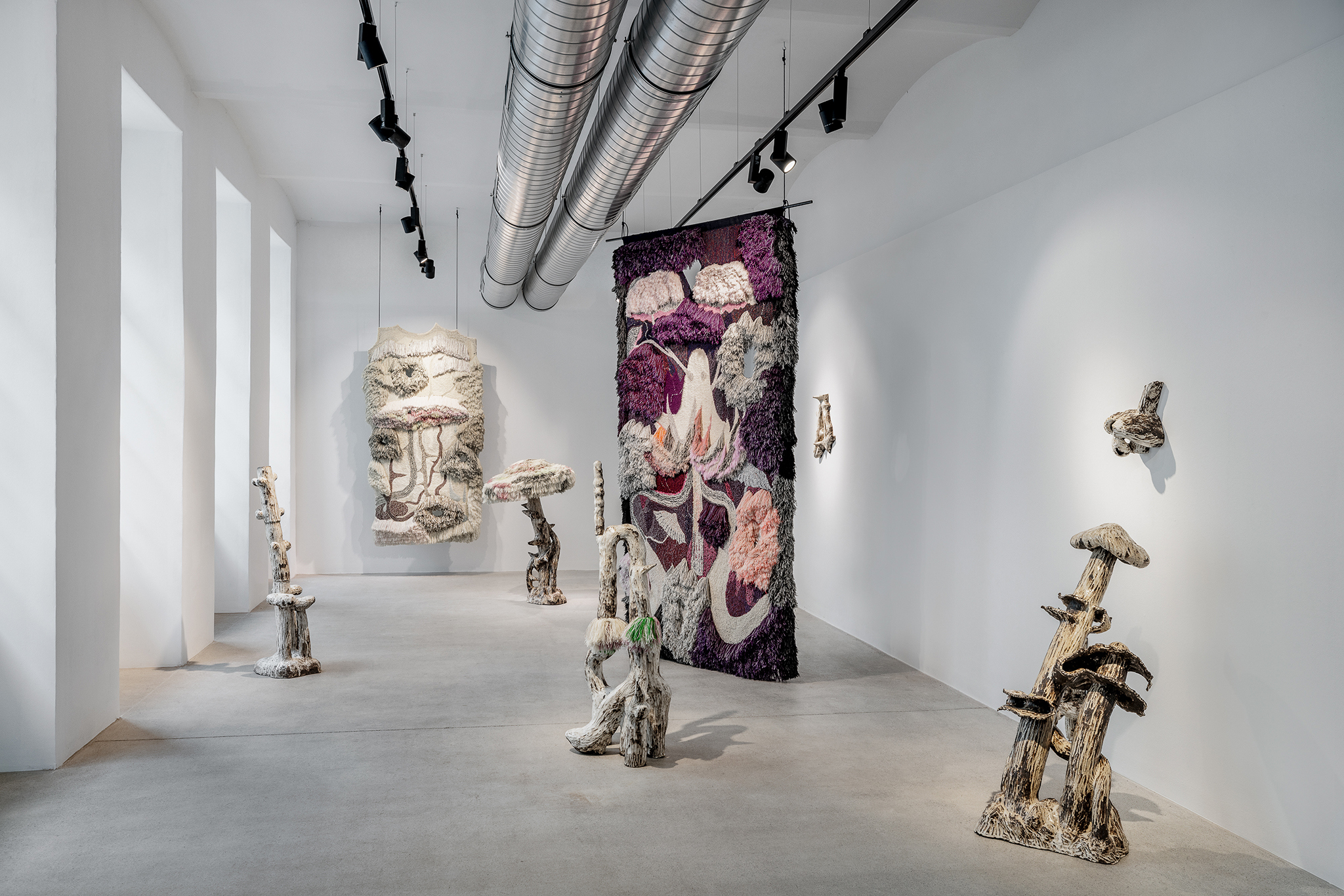 Installation view, Beautiful Pulsating Web, Eva Kahan Space, Vienna