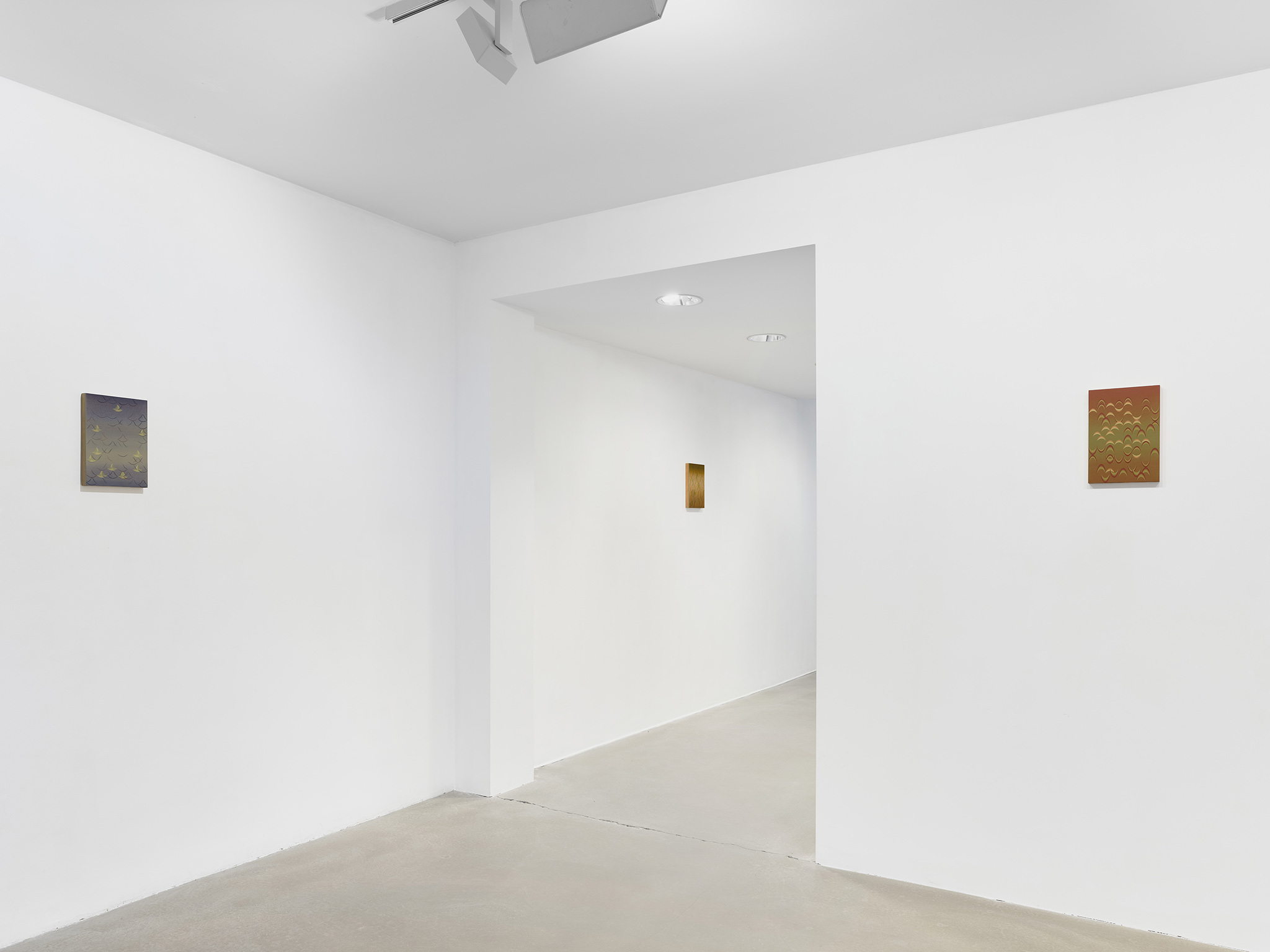Winter Finds Spring installation view