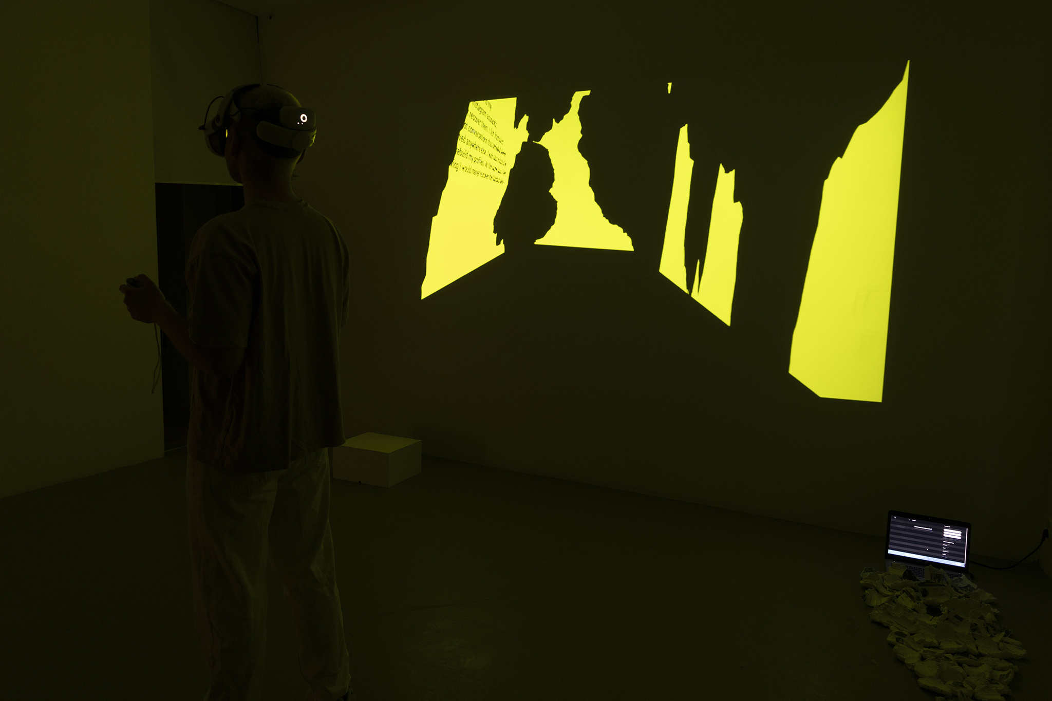 Installation view