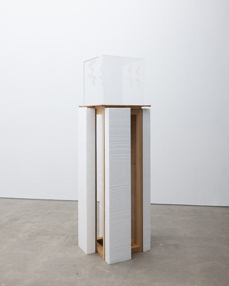 Maoya Kishi, Object(Replaced), 2026, polystyrene foam, timber, plywood, acrylic case, canvas, acrylic, 124.5 x 40 x 40 cm
