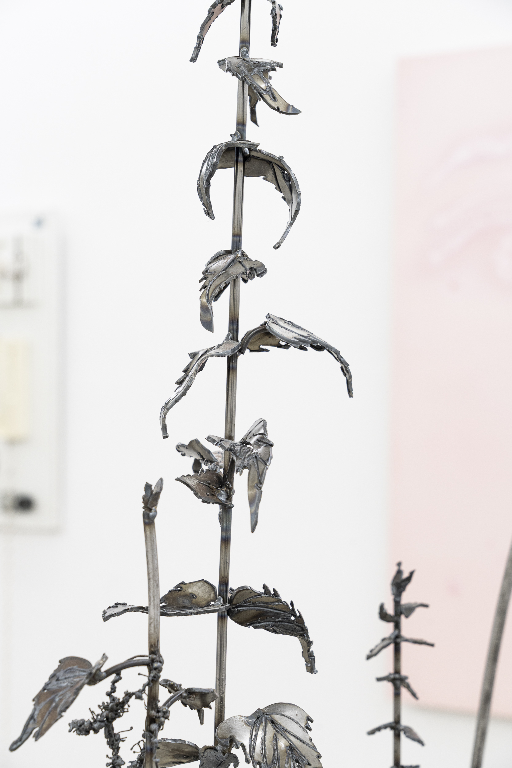 Aleksandra Olszar, Herb II, 2023, steel, 70x70x195cm