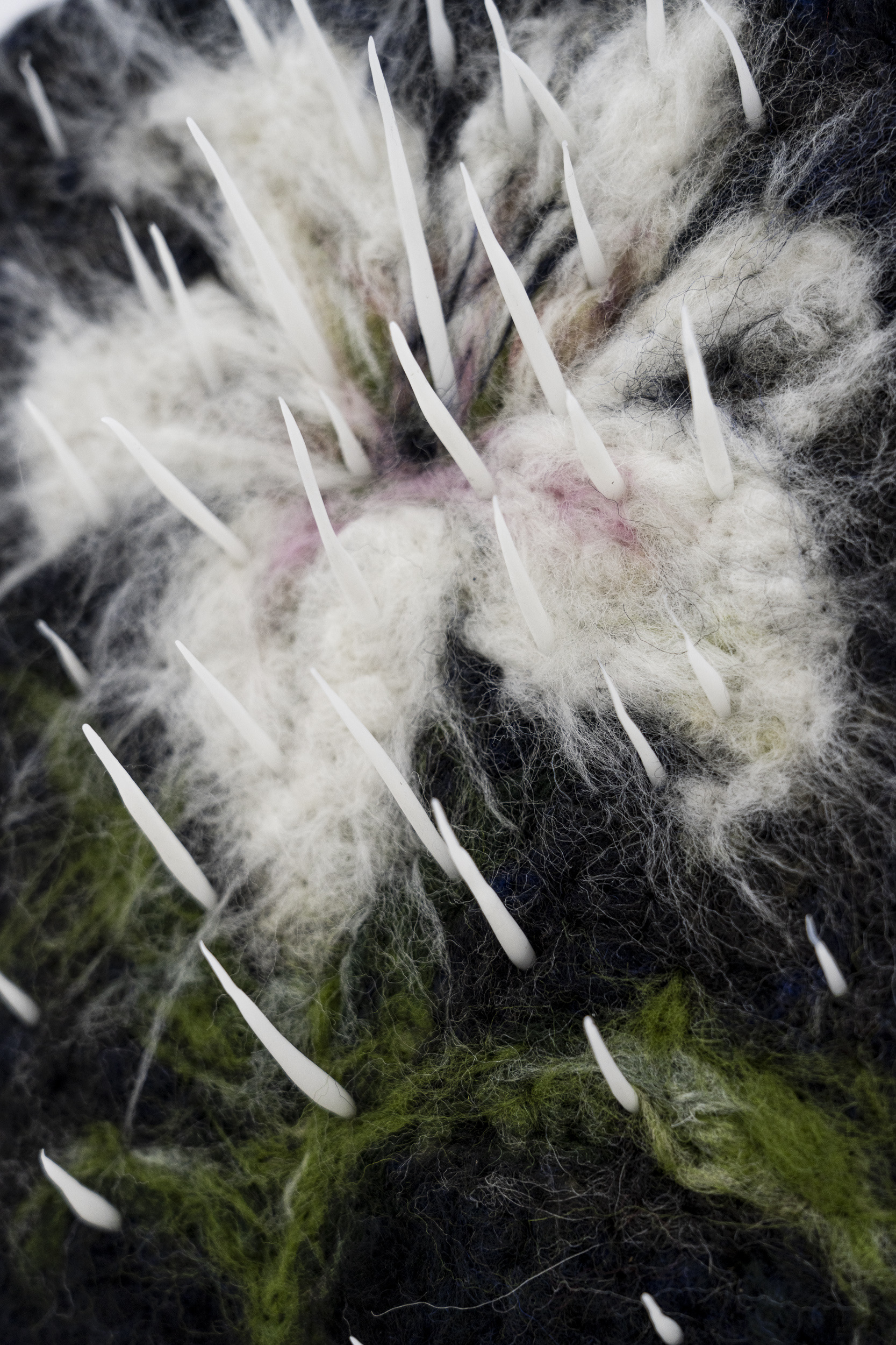 Olivia Rosa, Mother tongue,2026, mixed media, wool, felting,17x24cm