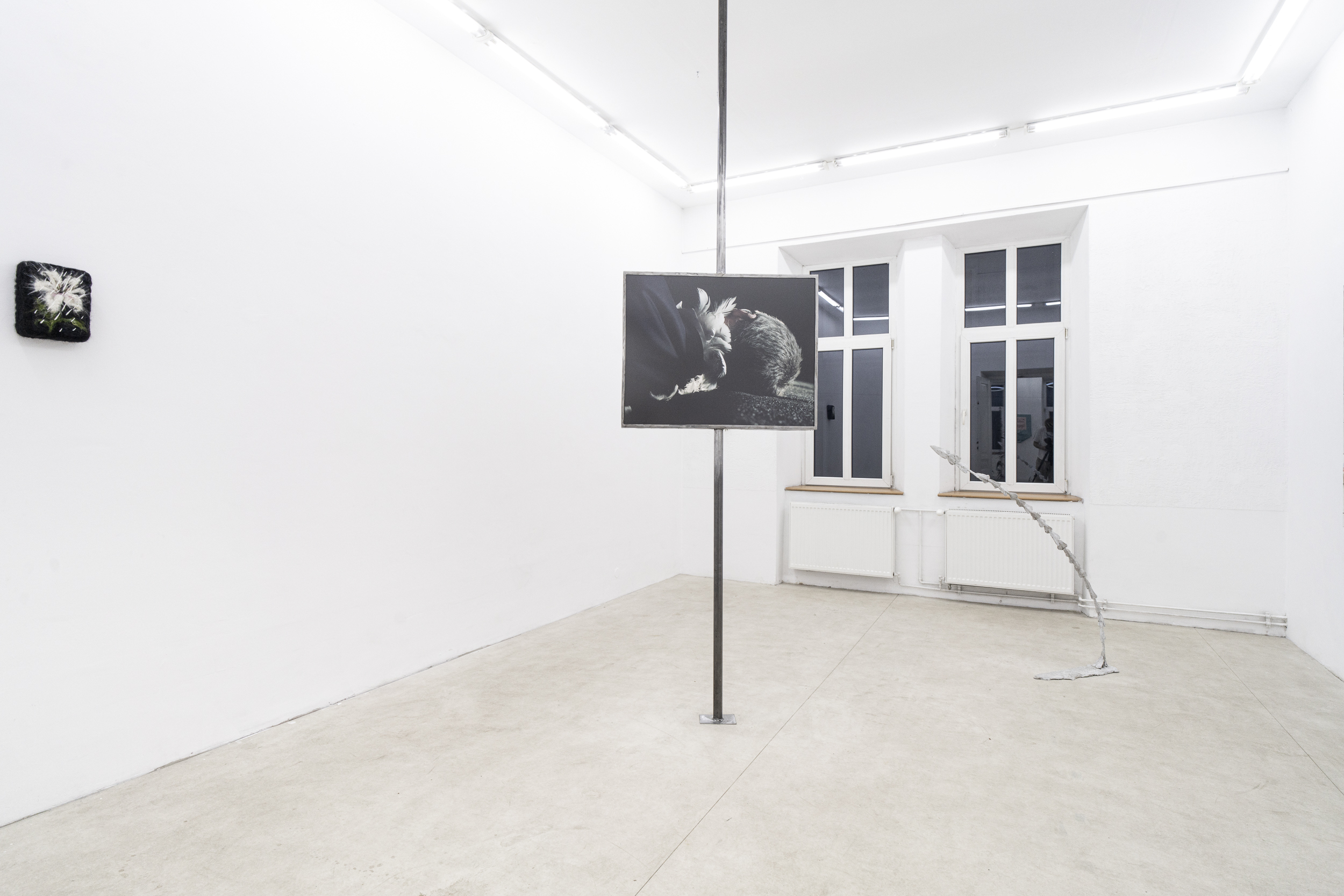 exhibition view, The Shape of a Scar
