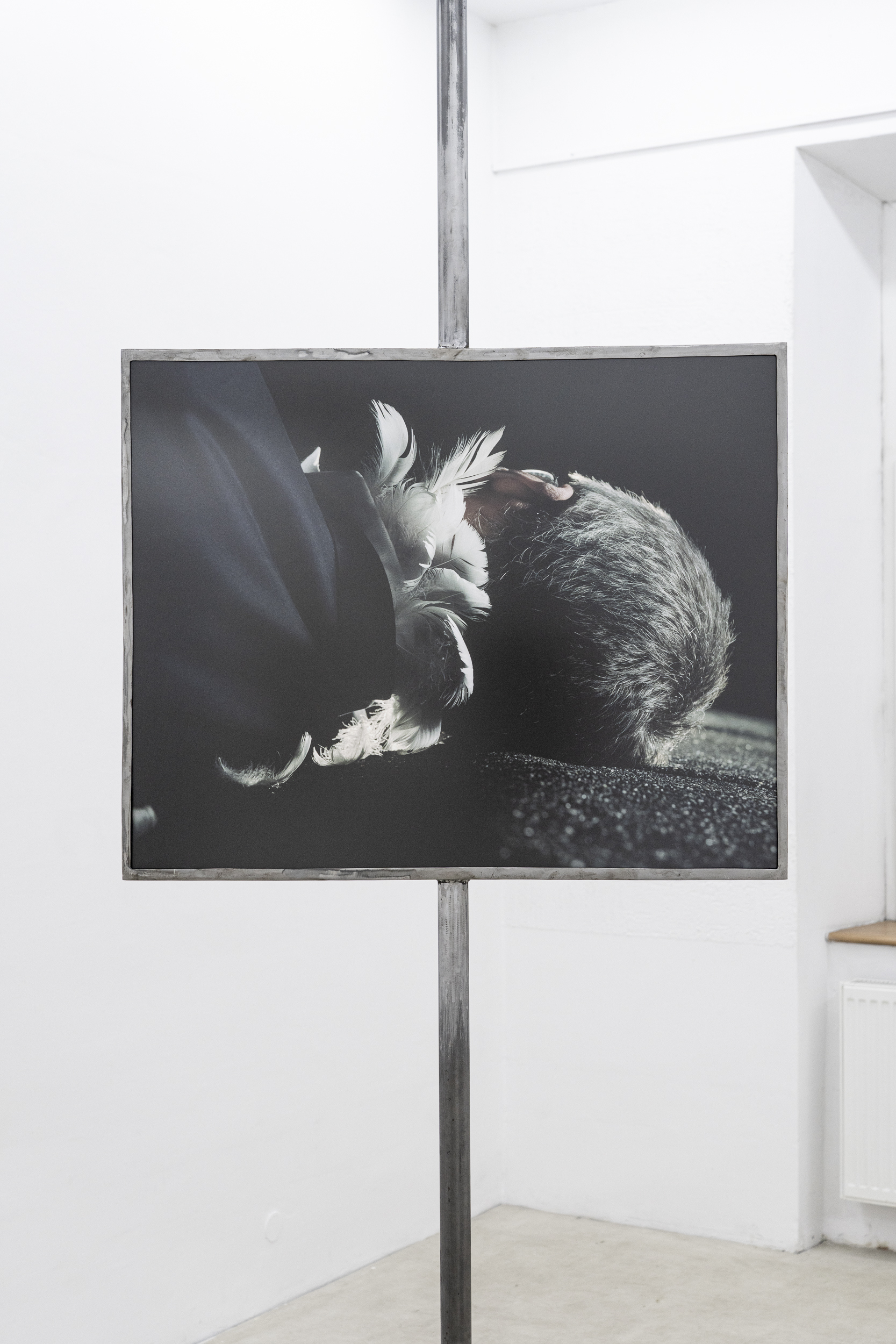 Michał Maliński, Ikar, 2025, antireflex glass, steel frame,91x73x7cm