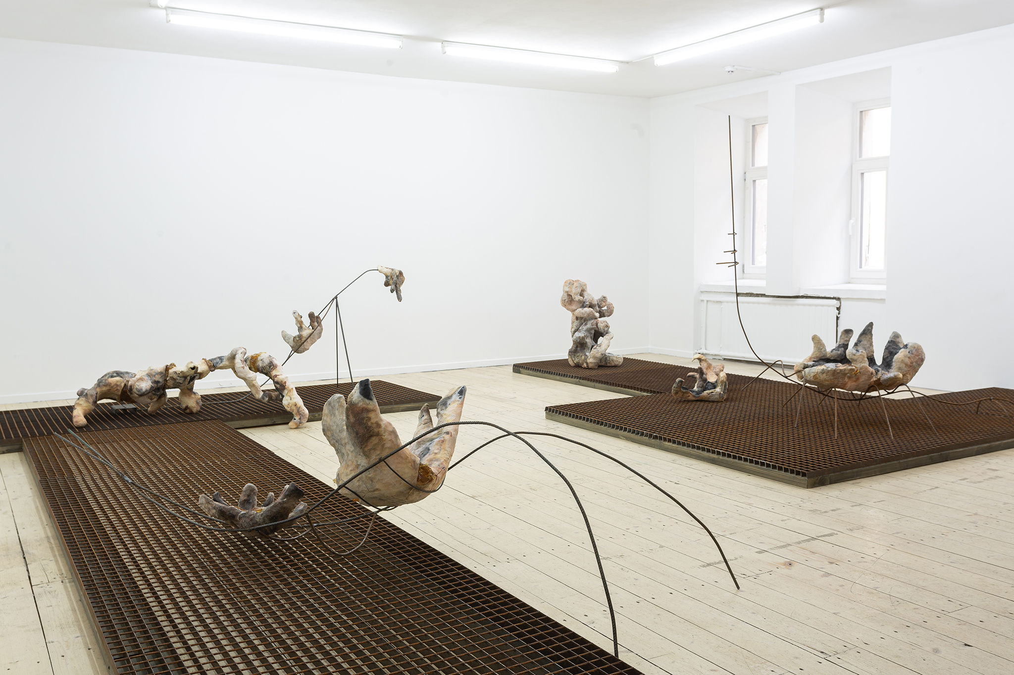 Onė Austėja Maldonytė, Desiccating, 2026.  Exhibition view at Editorial, Vilnius.