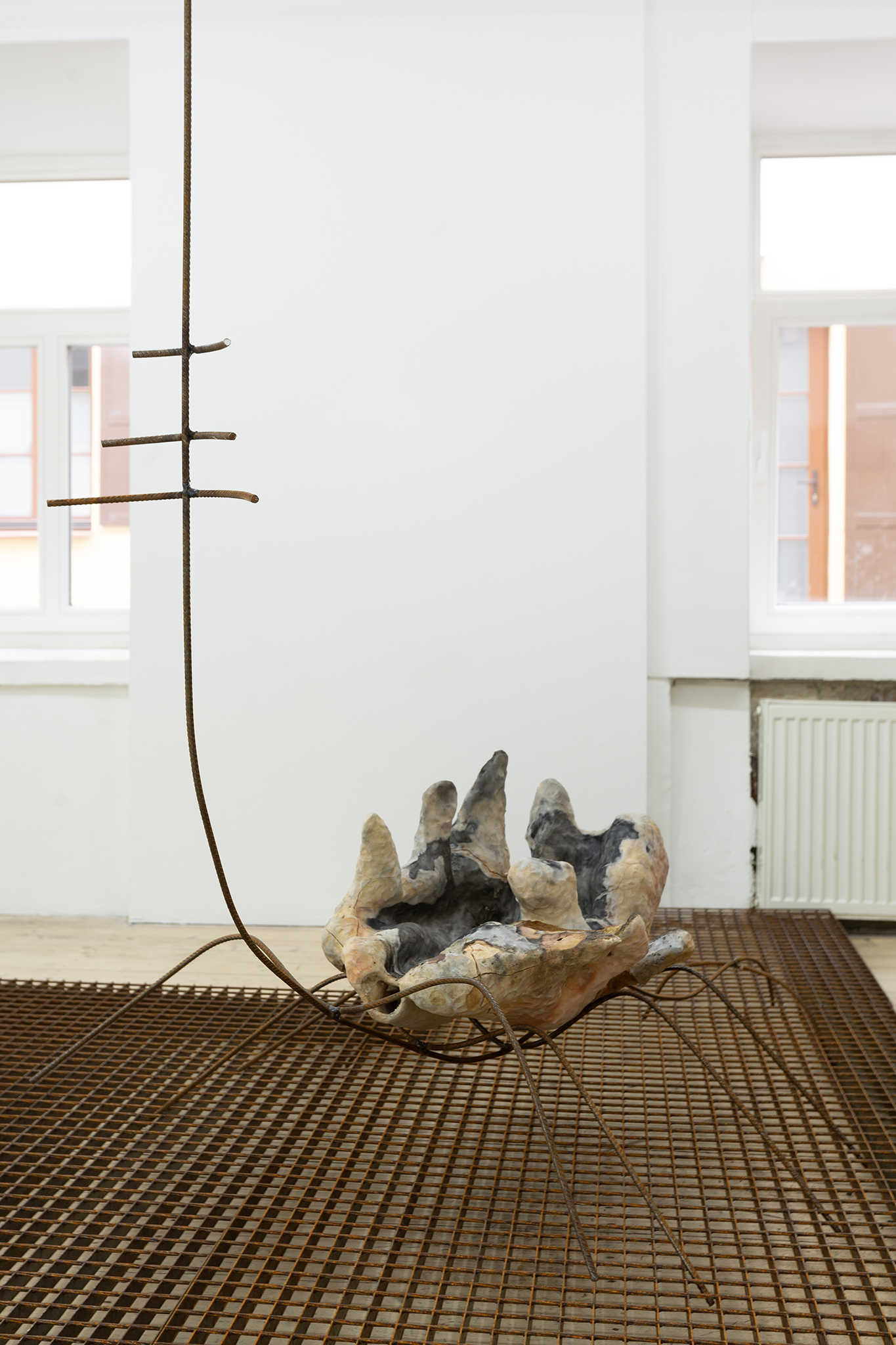 Onė Austėja Maldonytė, Desiccating, 2026.  Exhibition view at Editorial, Vilnius.