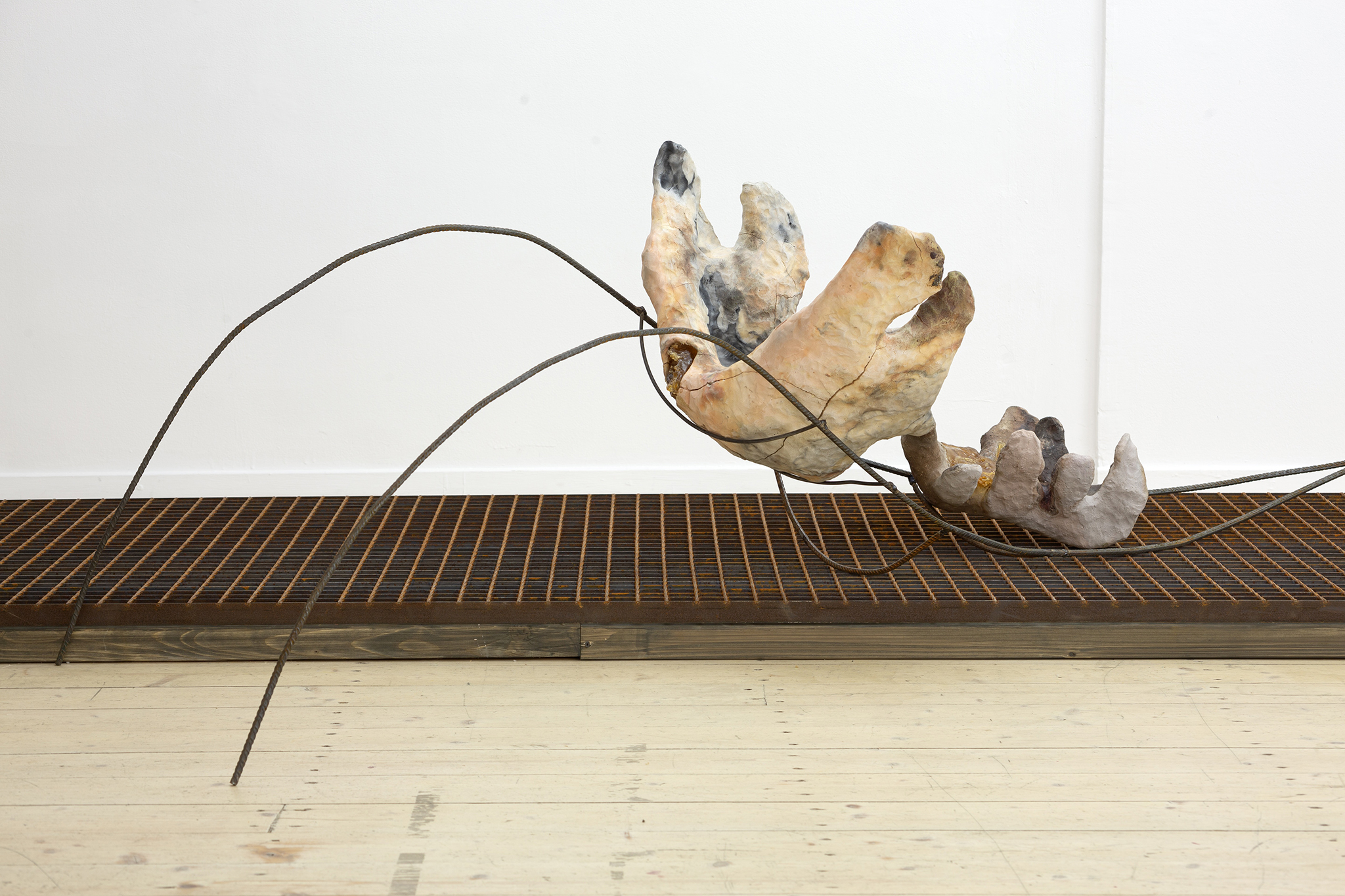 Onė Austėja Maldonytė, Desiccating, 2026.  Exhibition view at Editorial, Vilnius.