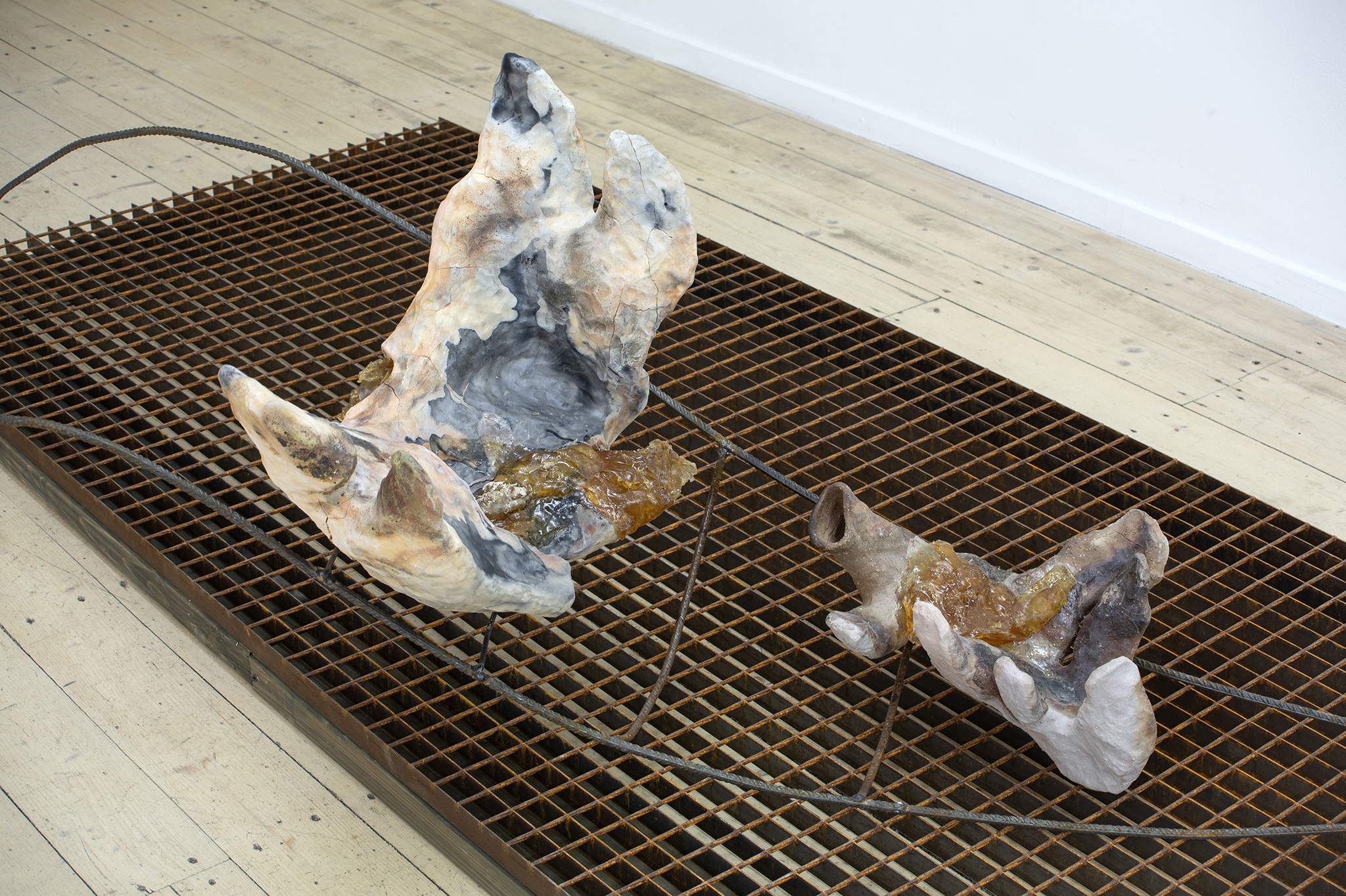 Onė Austėja Maldonytė, Desiccating, 2026.  Exhibition view at Editorial, Vilnius.