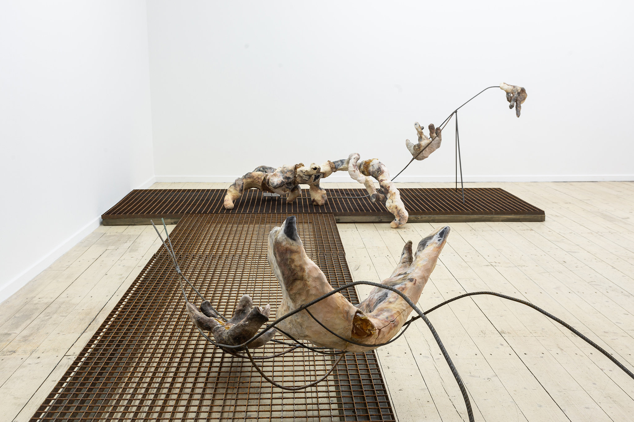 Onė Austėja Maldonytė, Desiccating, 2026.  Exhibition view at Editorial, Vilnius.