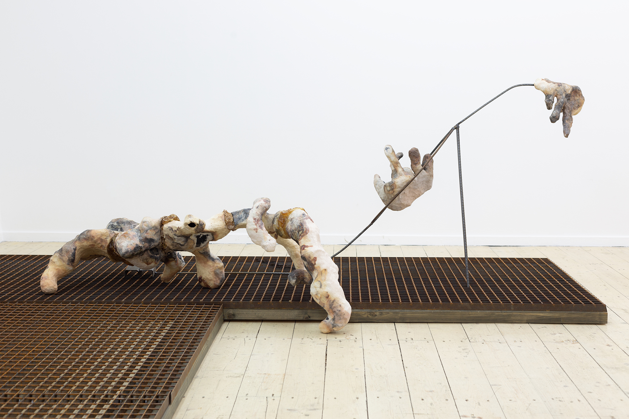 Onė Austėja Maldonytė, Desiccating, 2026.  Exhibition view at Editorial, Vilnius.