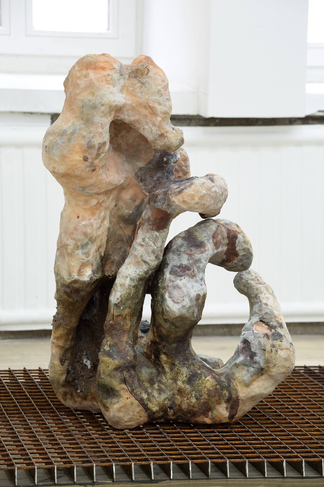 Onė Austėja Maldonytė, Desiccating, 2026.  Exhibition view at Editorial, Vilnius.