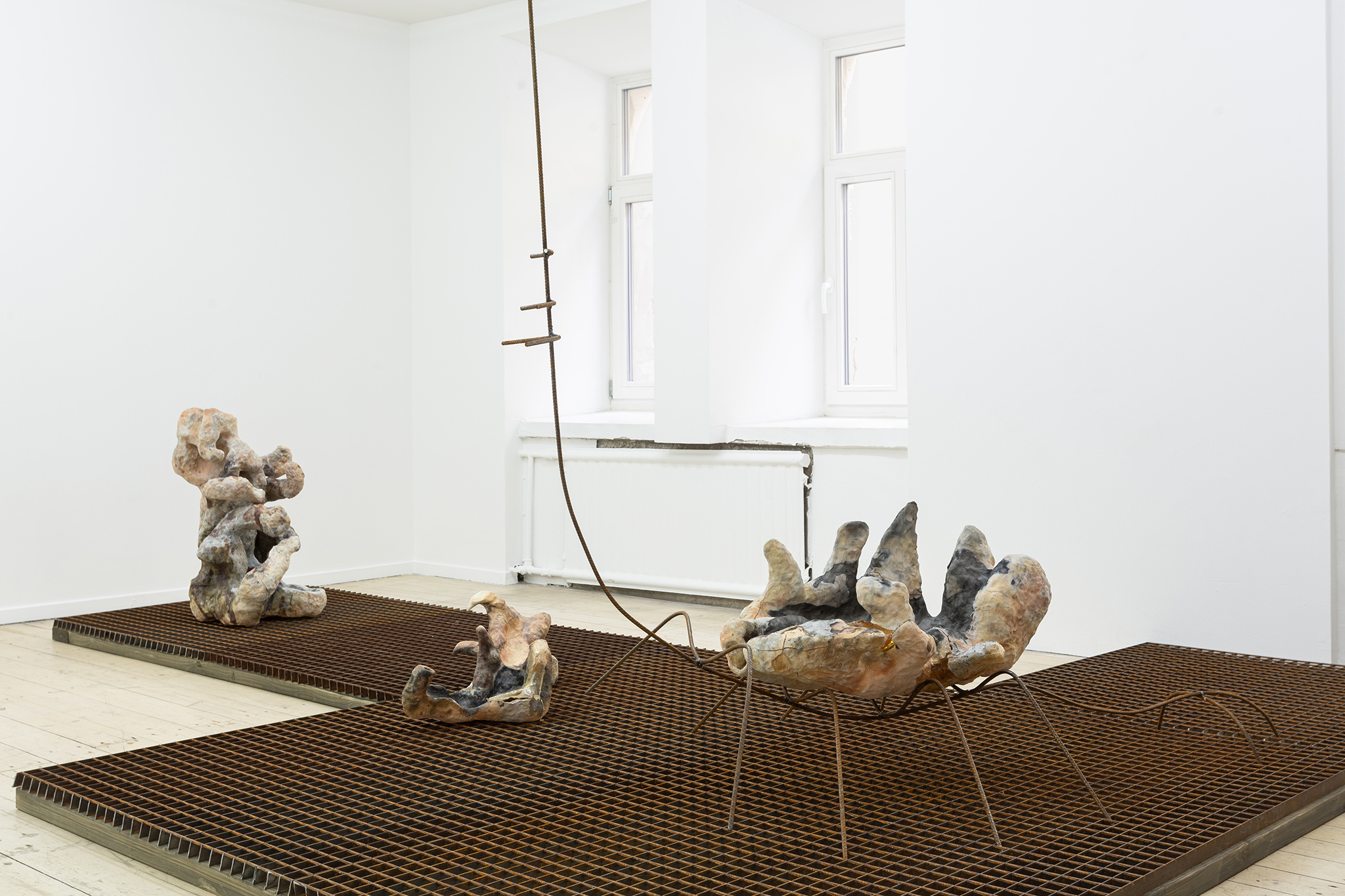 Onė Austėja Maldonytė, Desiccating, 2026.  Exhibition view at Editorial, Vilnius.