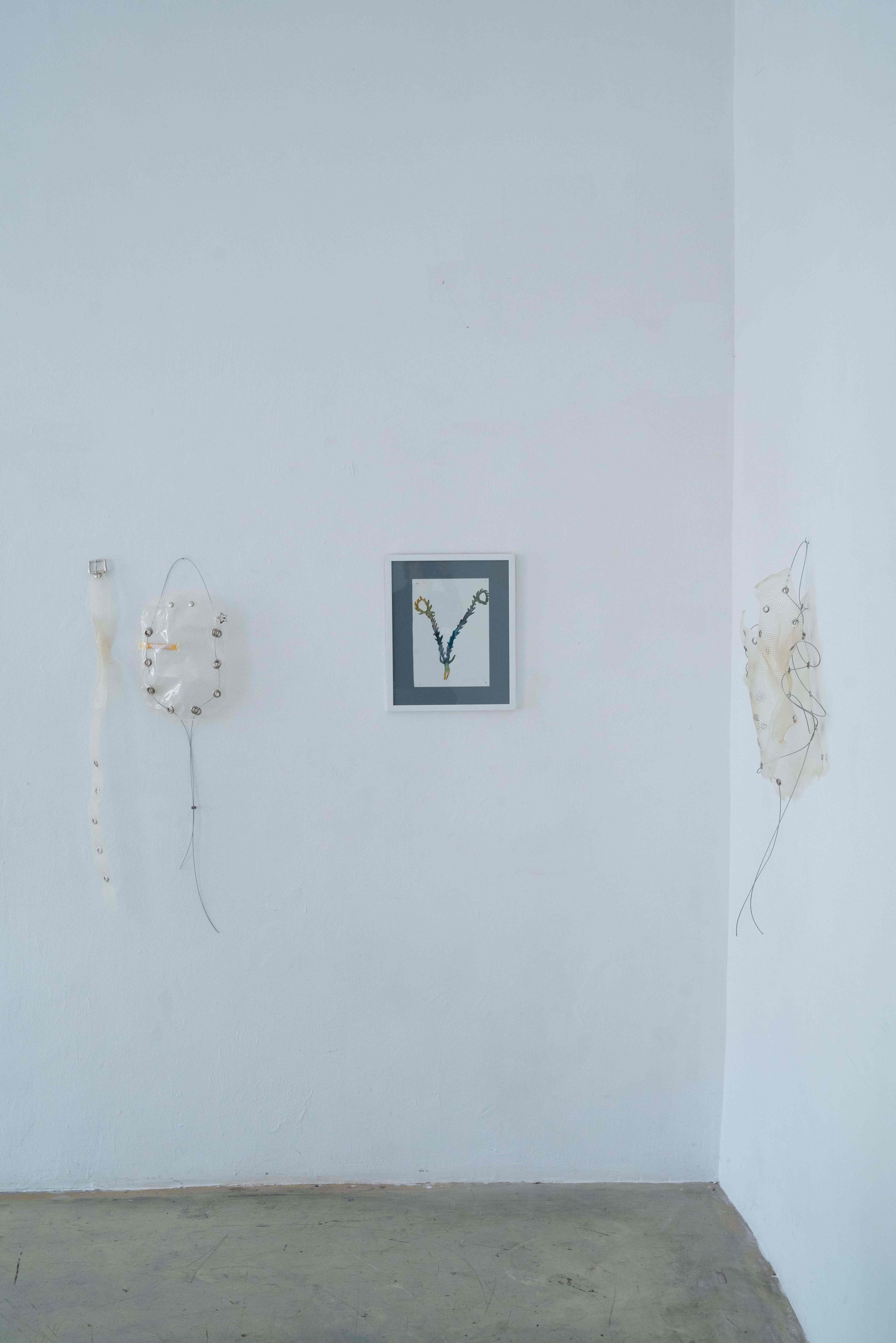 Andreia Santana, Dissolving Bodies. 2026 Fish glue, cable, metal finishing, Agnes Questionmark, Forceps I. 2025 Pencil and pen on paper