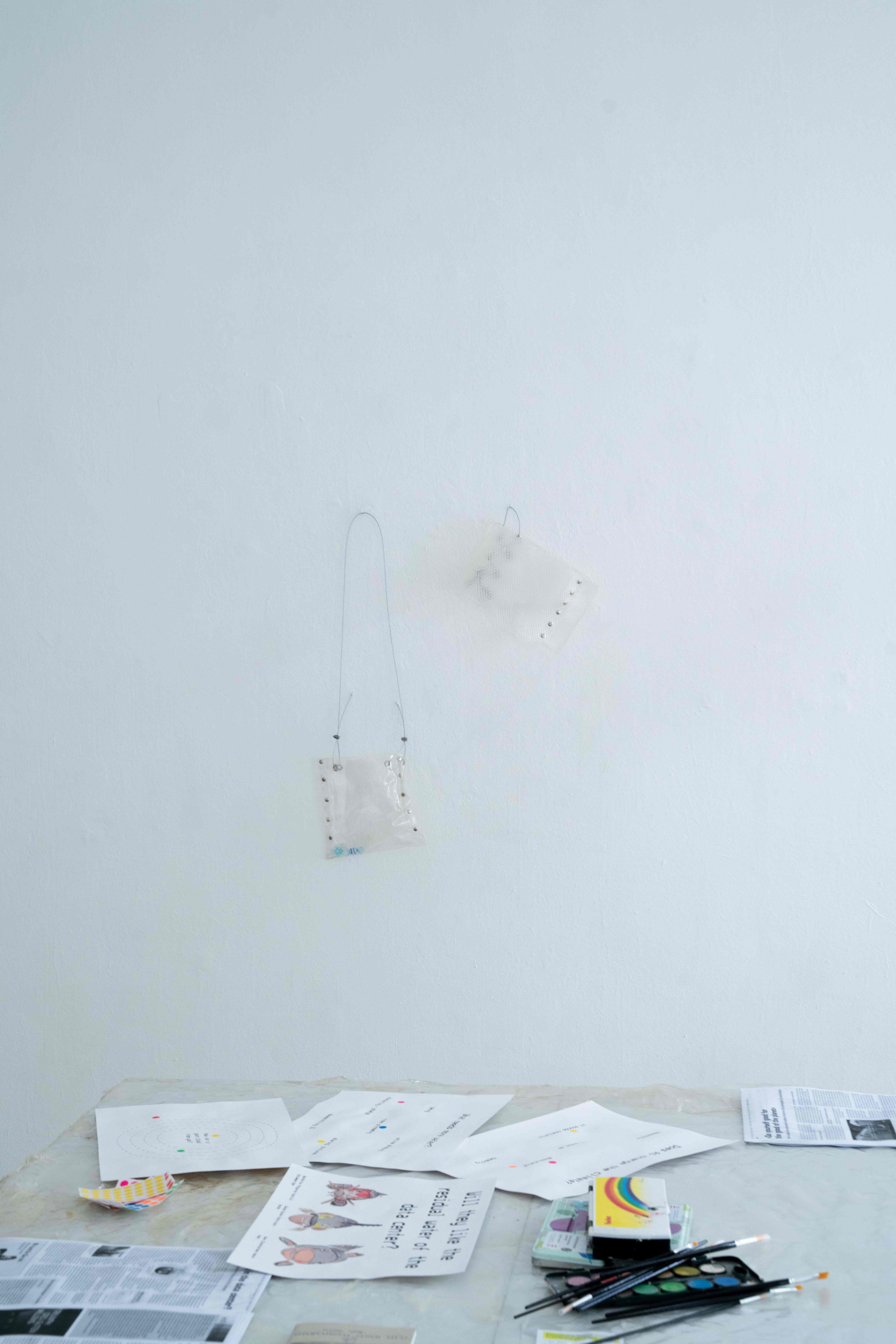Andreia Santana, Dissolving Bodies. 2026 Fish glue, cable, metal finishing