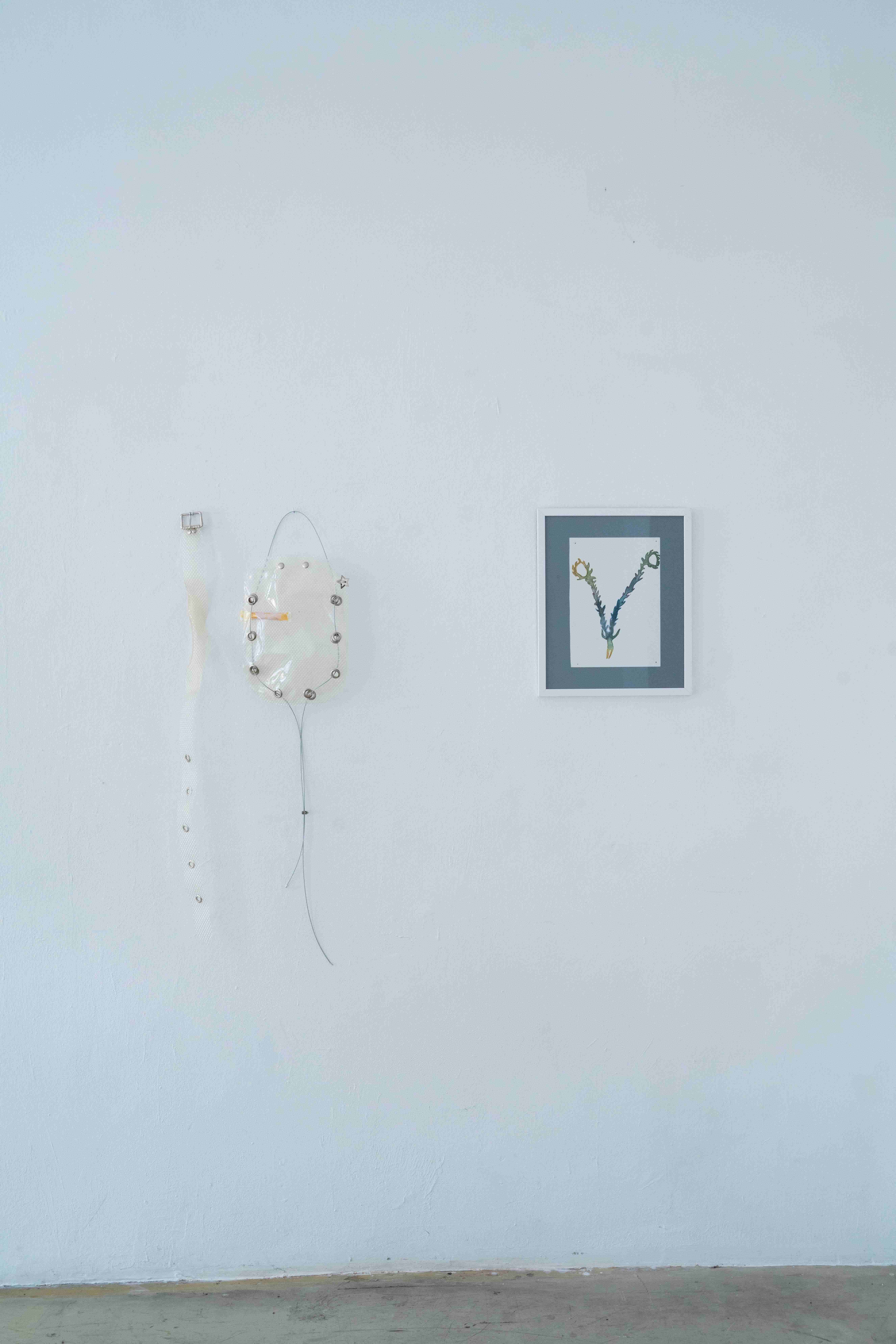 Andreia Santana, Dissolving Bodies. 2026 Fish glue, cable, metal finishing, Agnes Questionmark, Forceps I. 2025 Pencil and pen on paper