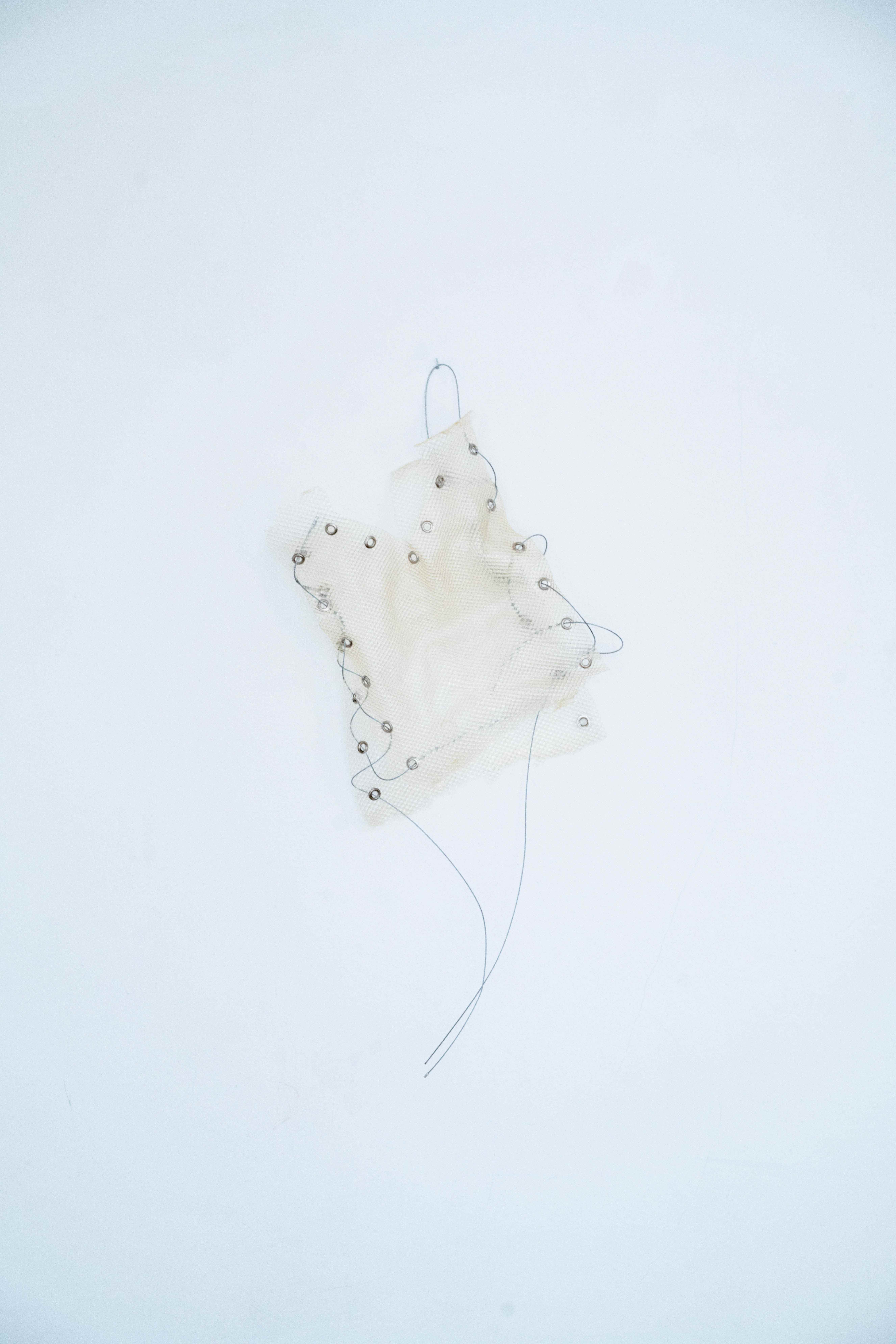 Andreia Santana, Dissolving Bodies. 2026 Fish glue, cable, metal finishing
