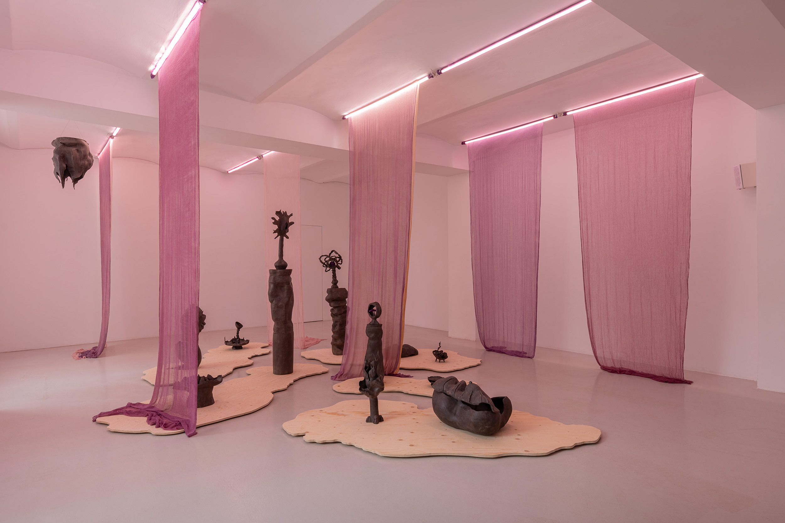 Exhibition view, Maja ∀. Ngom, Voicerals, ©galeria skala.
