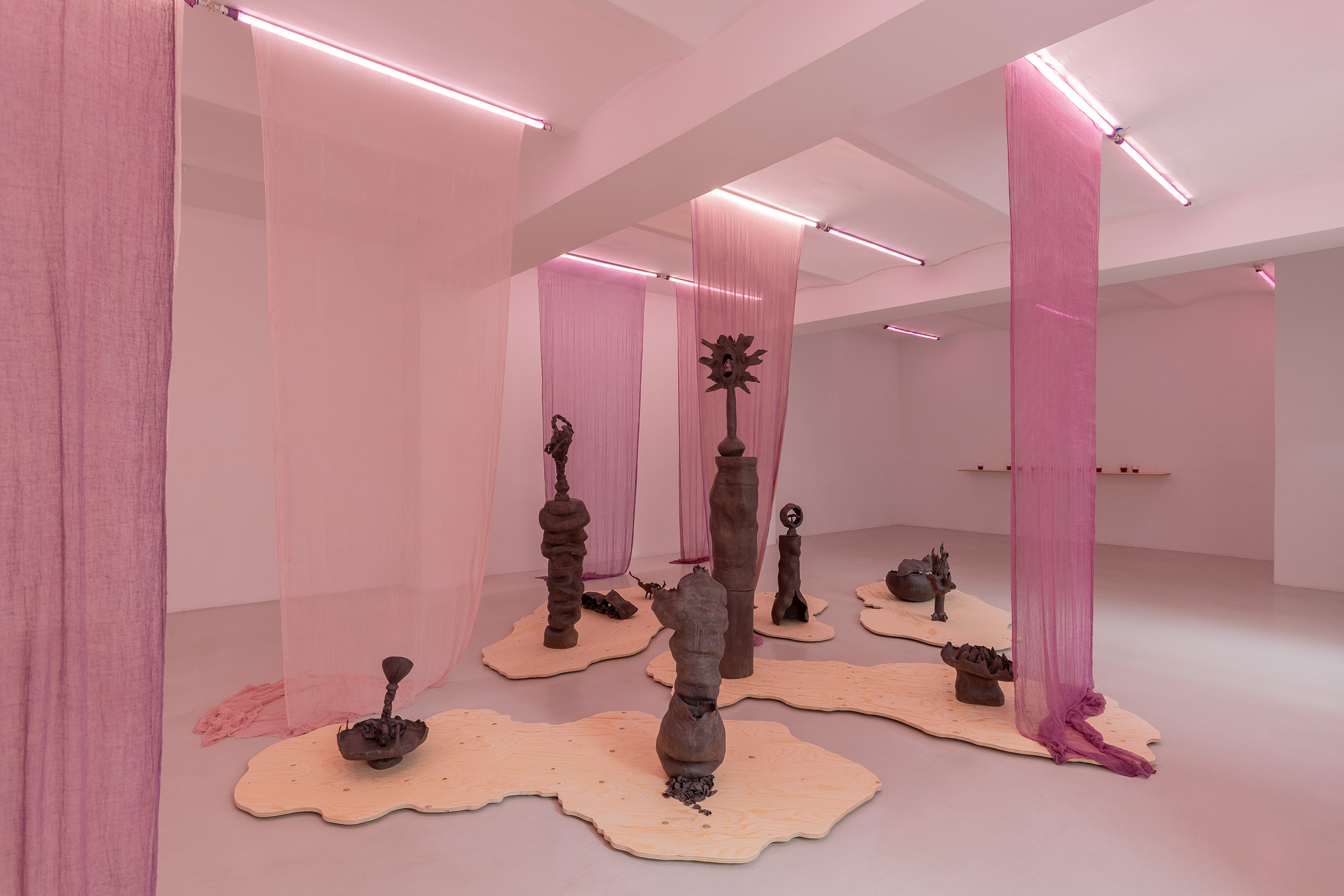 Exhibition view, Maja ∀. Ngom, Voicerals, ©galeria skala.