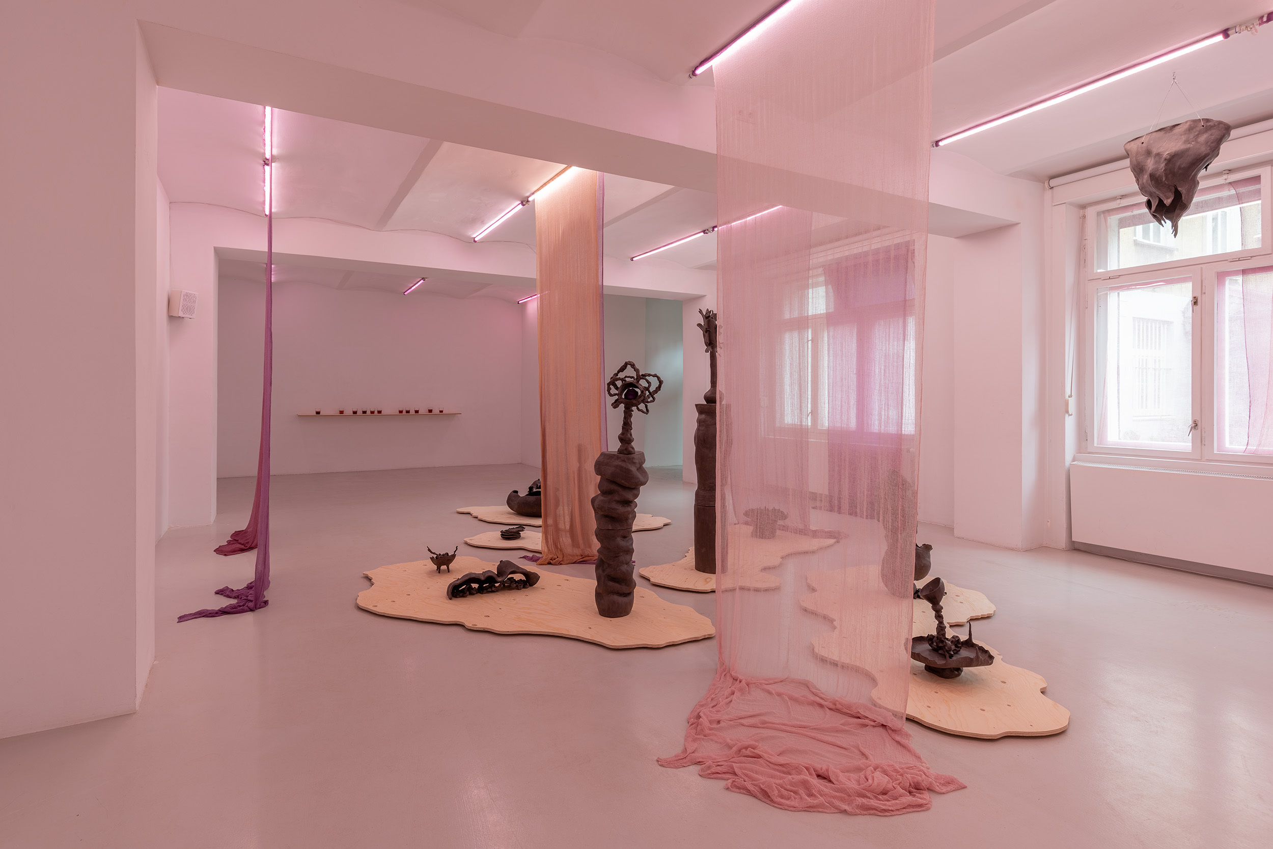 Exhibition view, Maja ∀. Ngom, Voicerals, ©galeria skala.