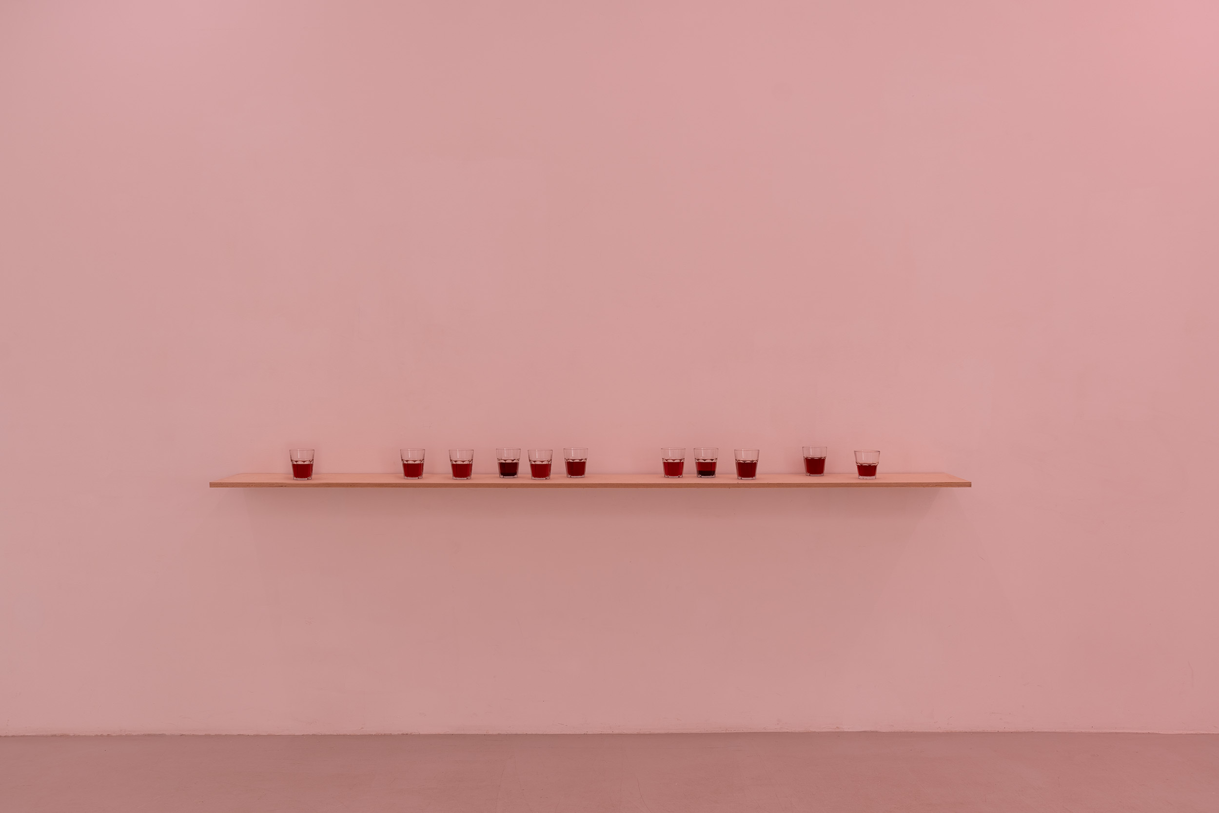 Exhibition view, Maja ∀. Ngom, Voicerals, ©galeria skala.