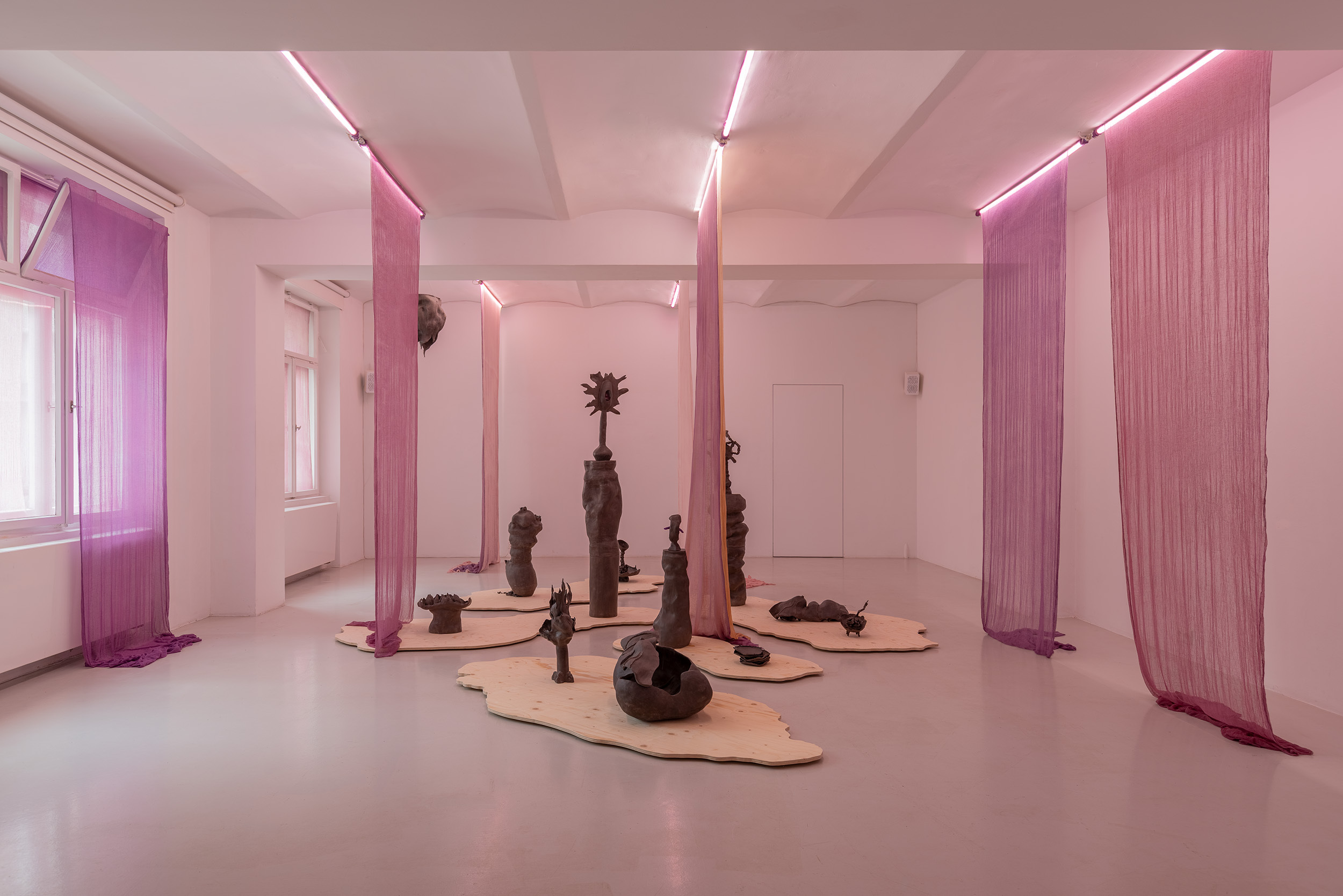 Exhibition view, Maja ∀. Ngom, Voicerals, ©galeria skala.